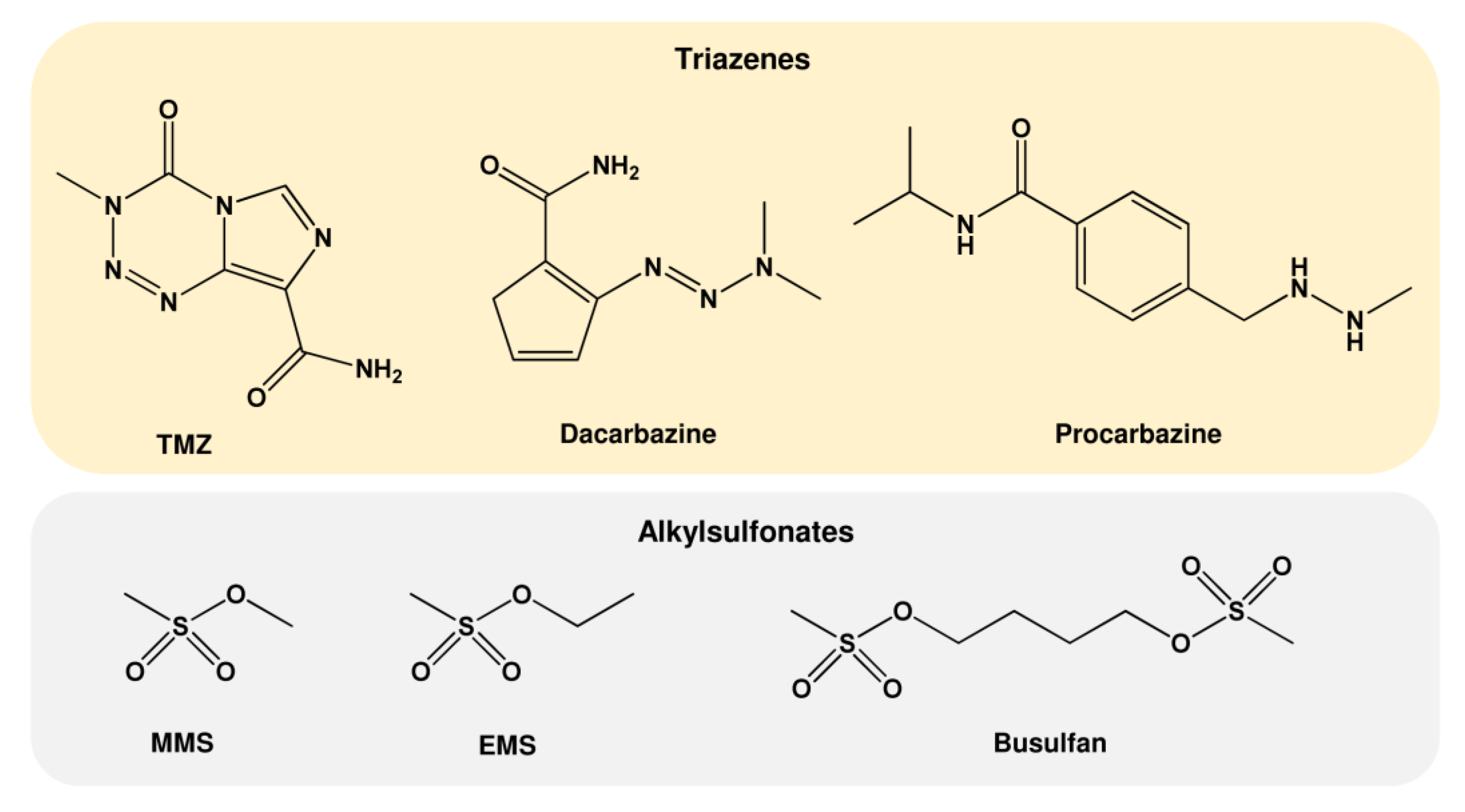 Ijms 24 04684 g005 Ijms 24 04684 g005