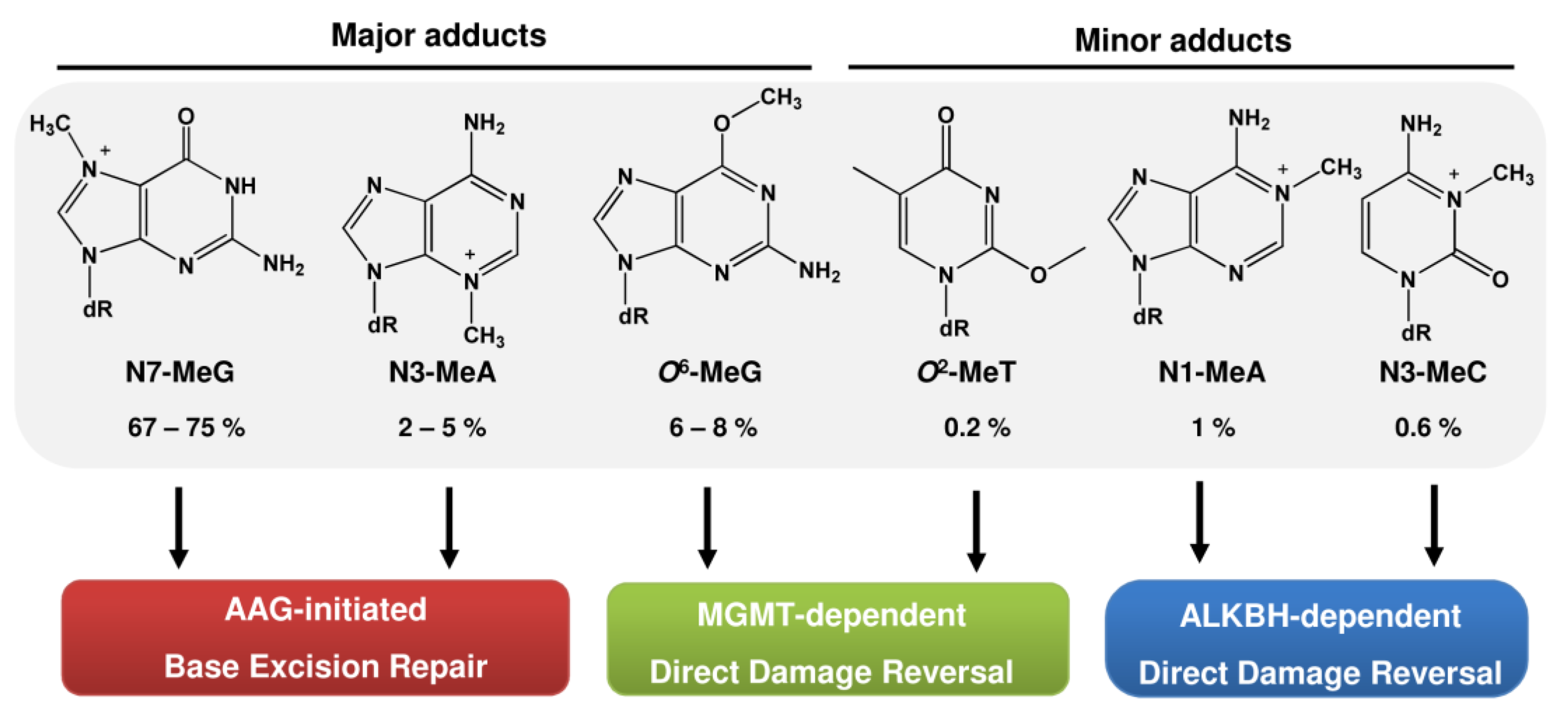Ijms 24 04684 g006 Ijms 24 04684 g006