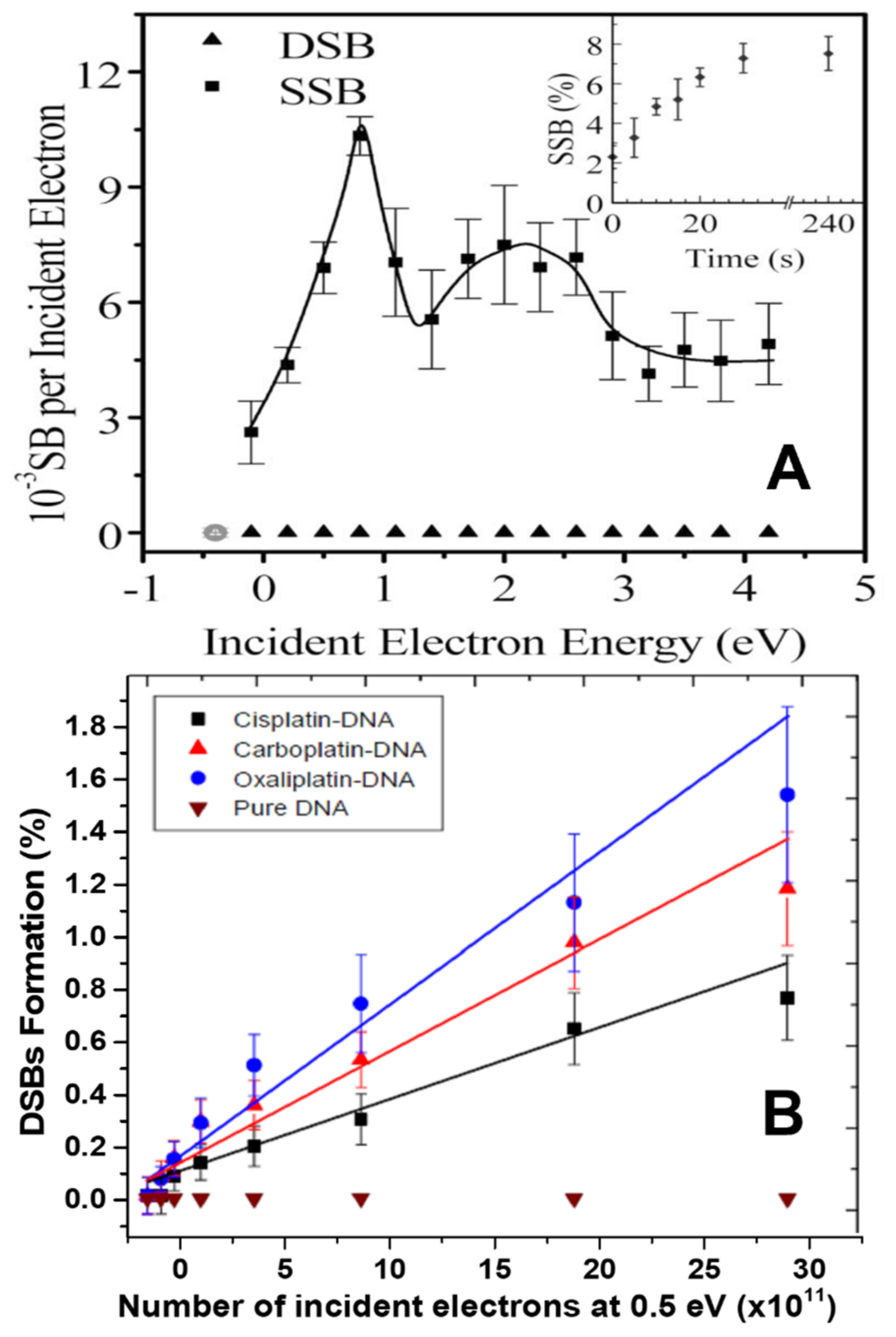 Ijms 24 04697 g004 Ijms 24 04697 g004