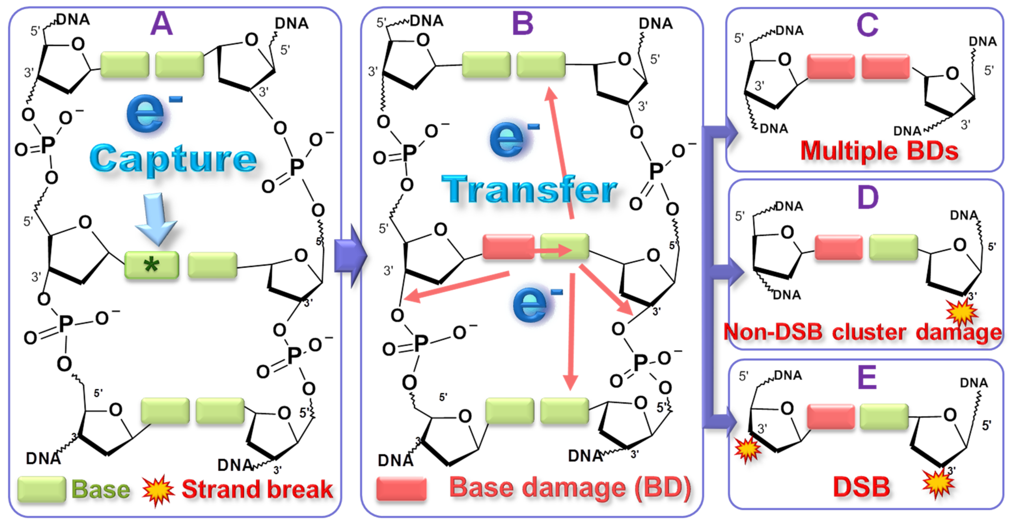 Ijms 24 04697 g006 Ijms 24 04697 g006