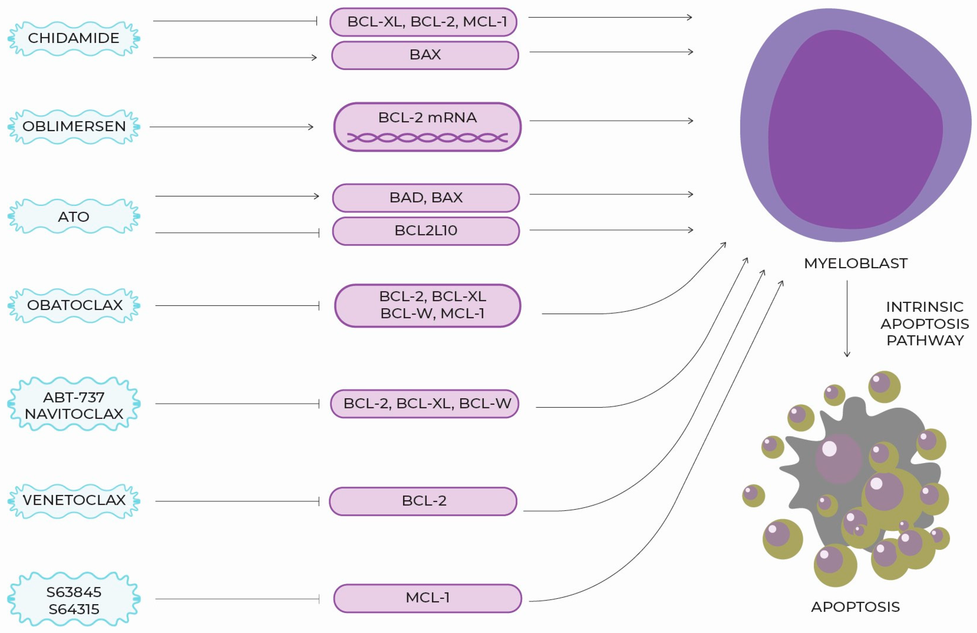 Ijms 24 04708 g001 Ijms 24 04708 g001