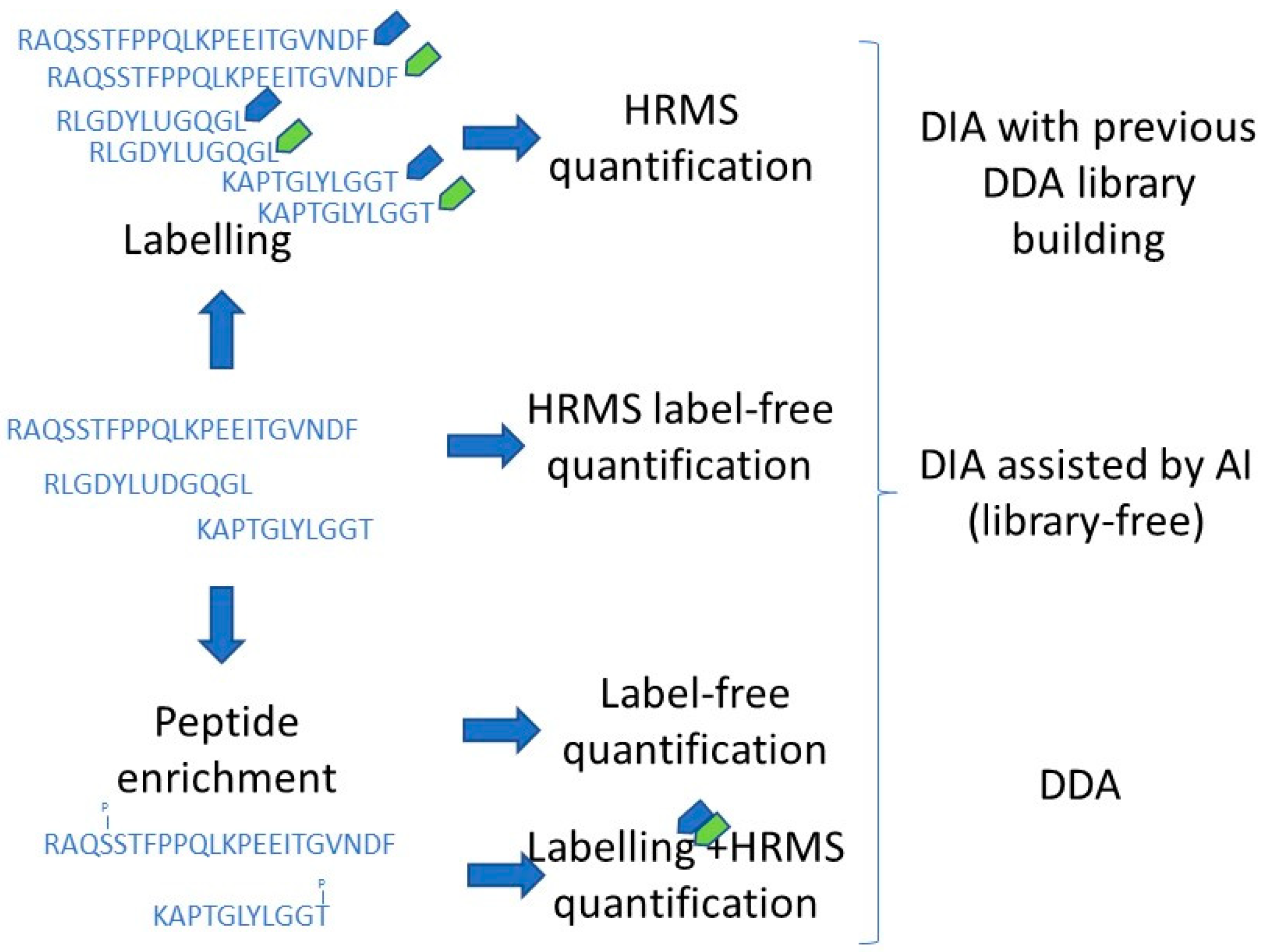 Ijms 24 04709 g002 Ijms 24 04709 g002