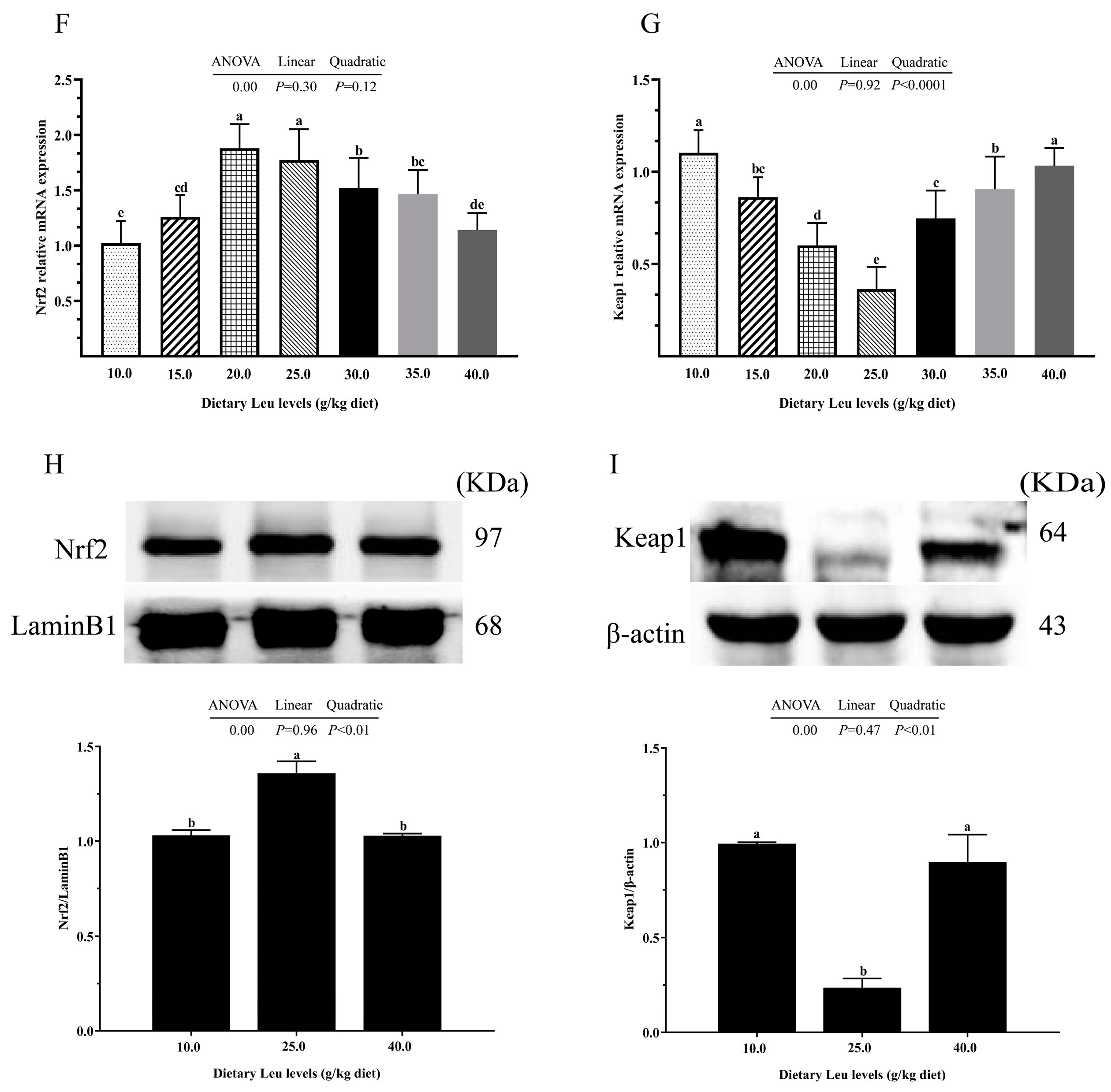 Ijms 24 04716 g002b Ijms 24 04716 g002b