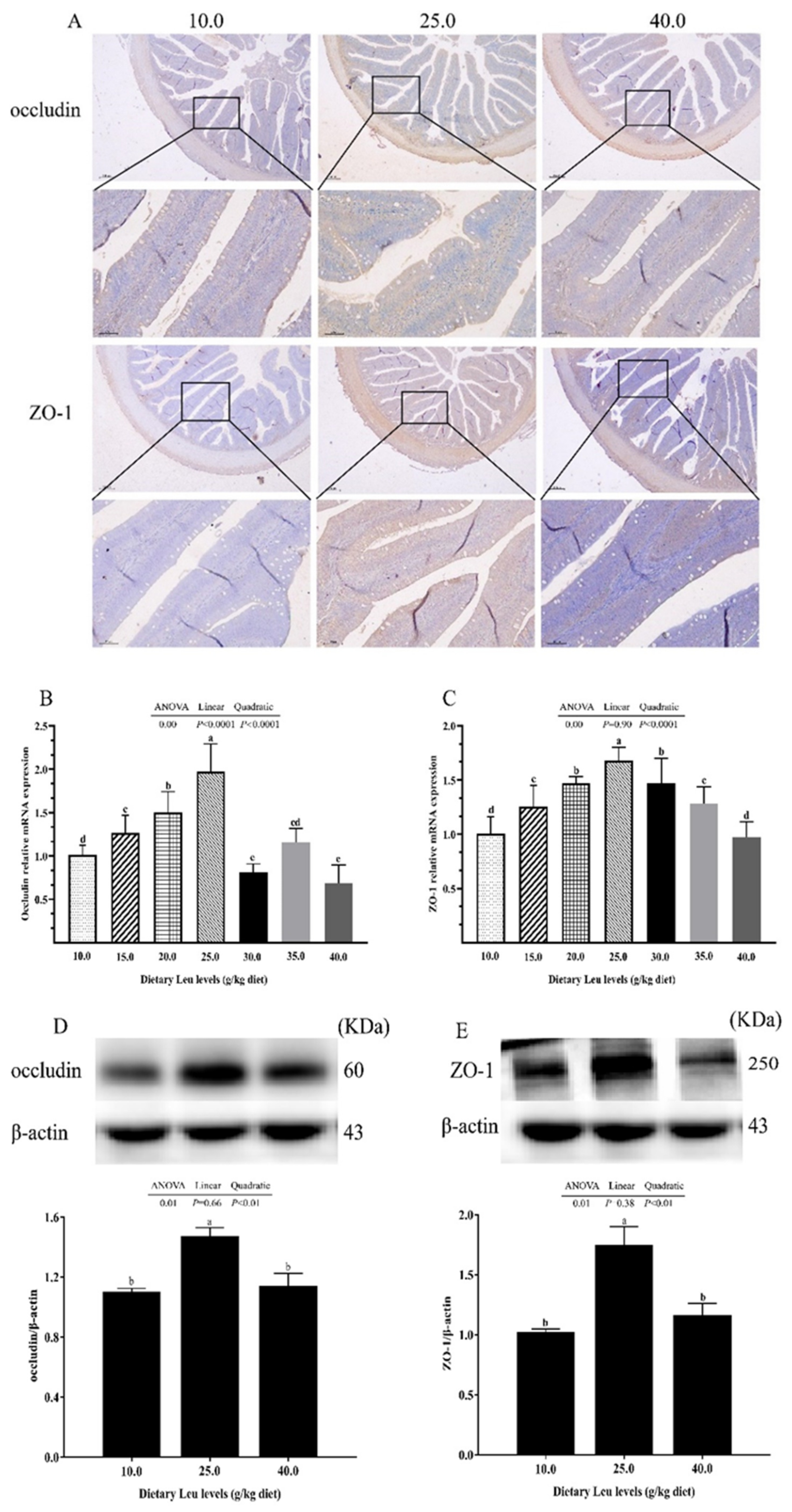 Ijms 24 04716 g003a Ijms 24 04716 g003a