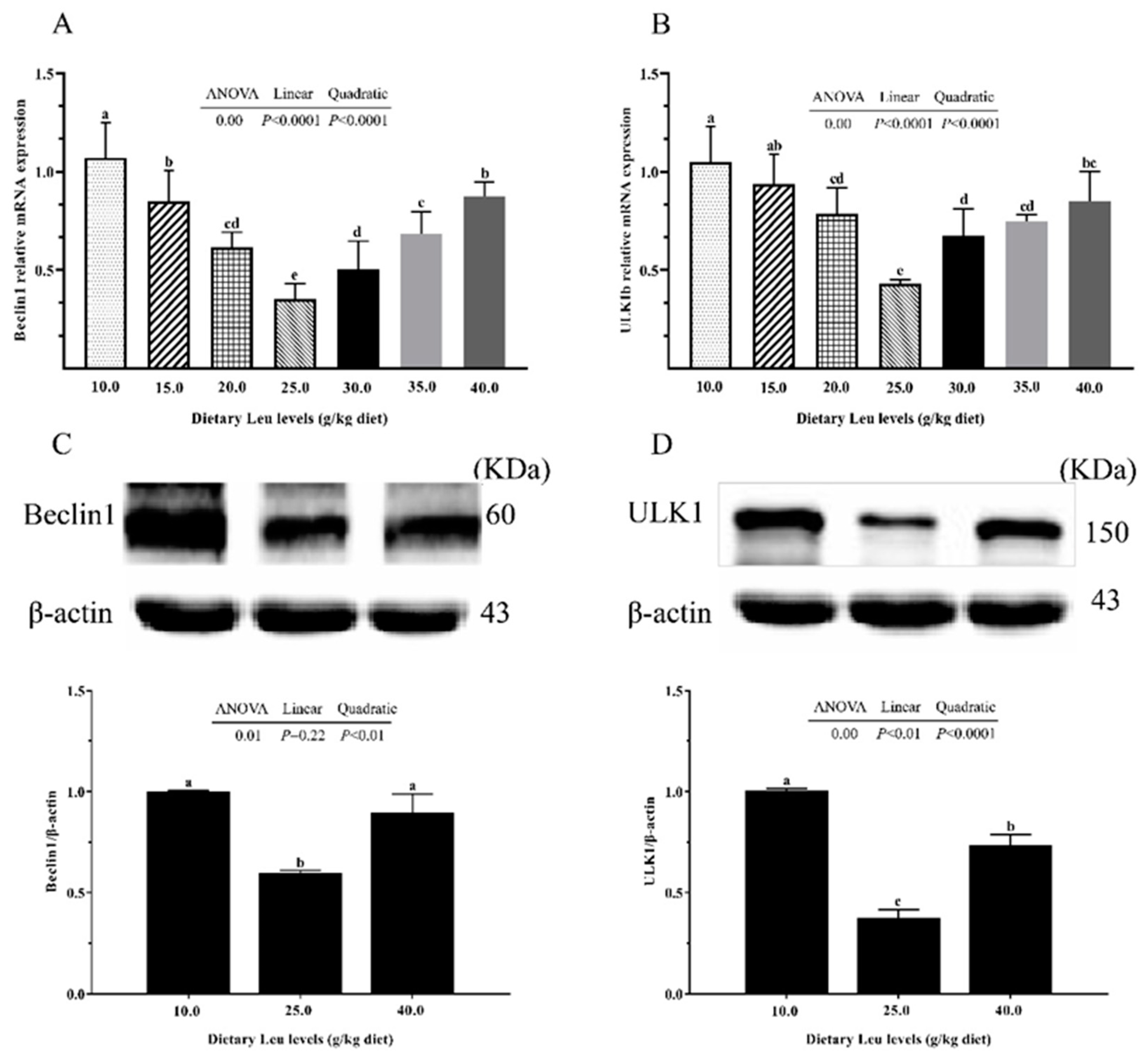 Ijms 24 04716 g004a Ijms 24 04716 g004a