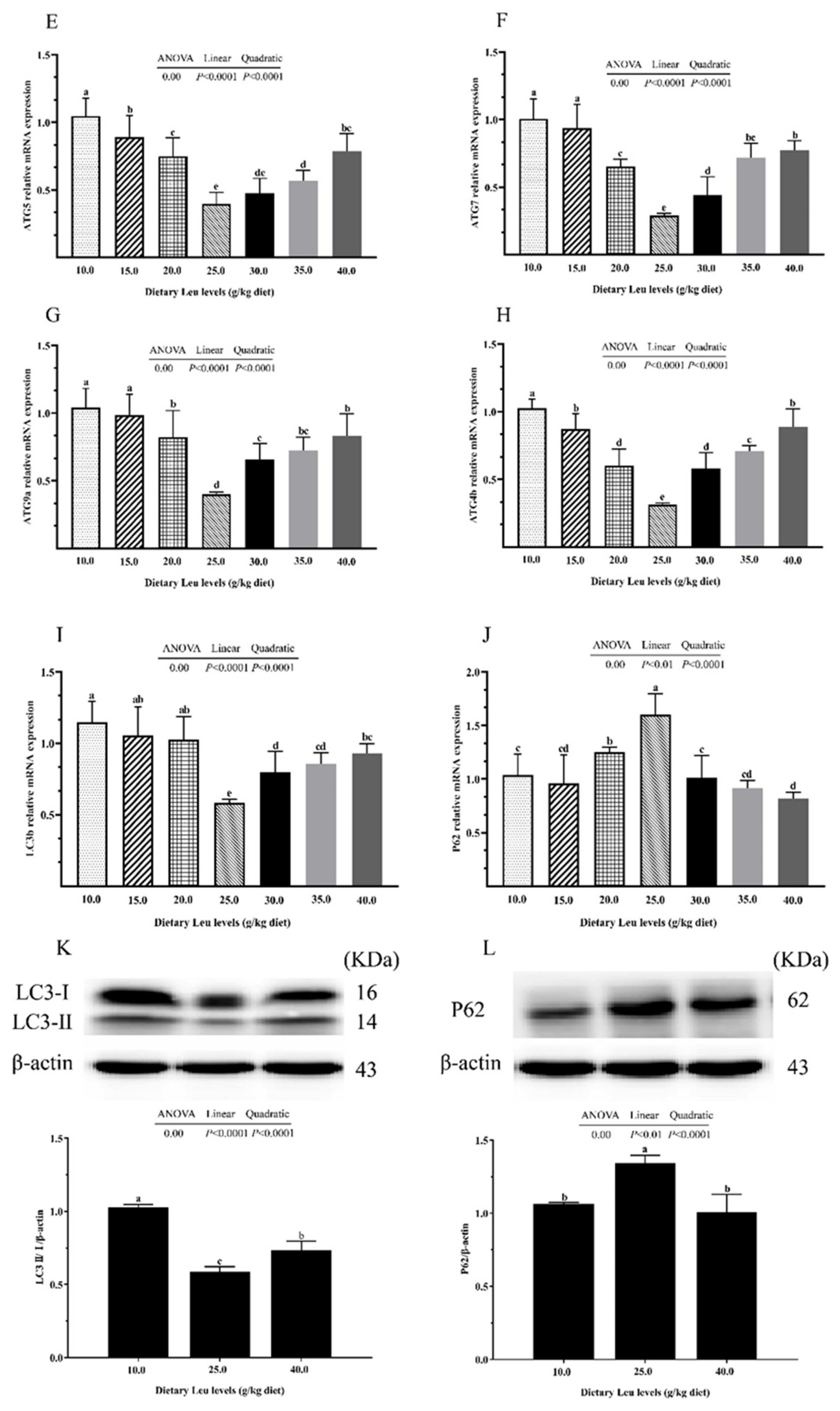 Ijms 24 04716 g004b Ijms 24 04716 g004b