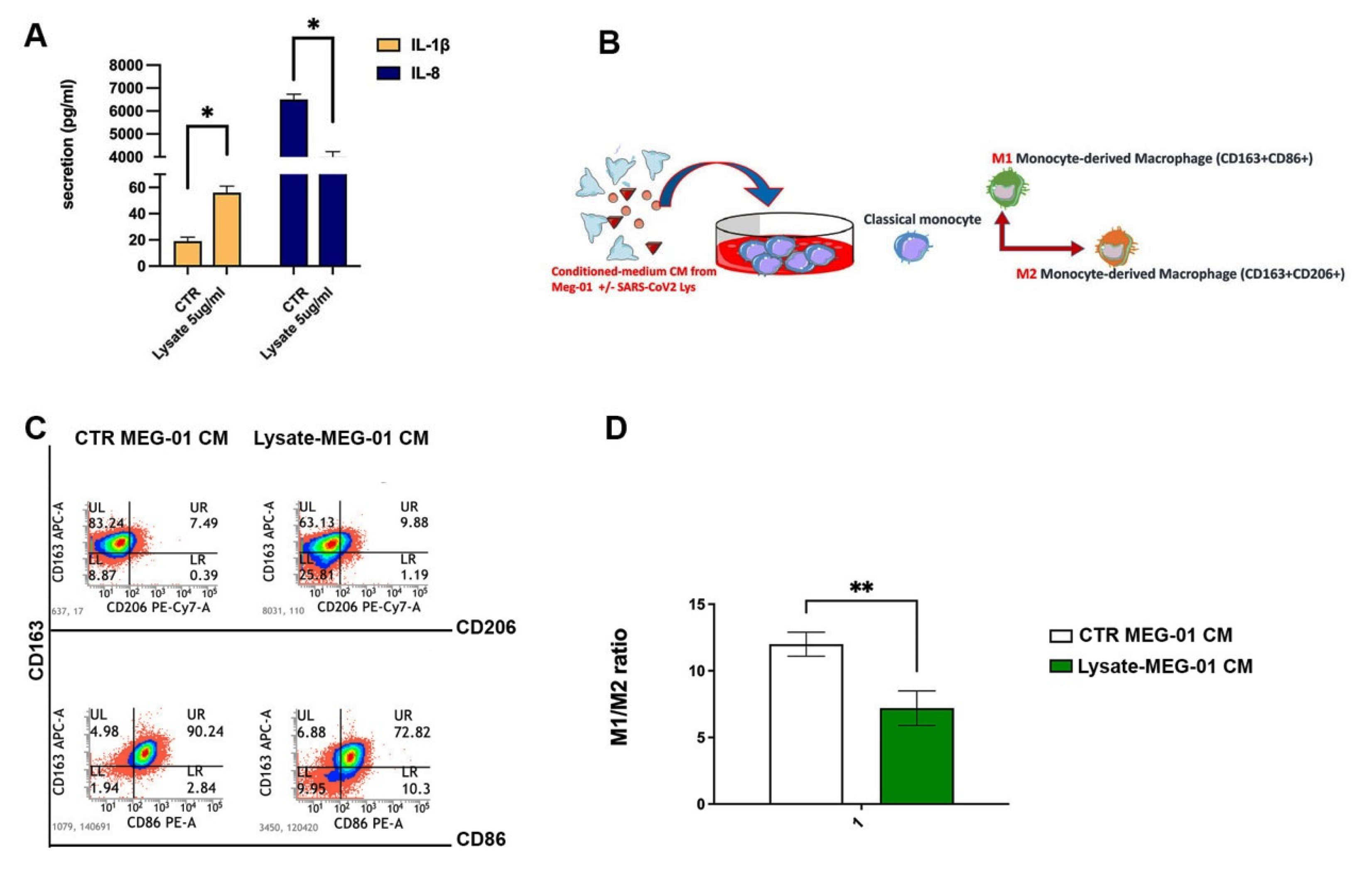 Ijms 24 04723 g004 Ijms 24 04723 g004