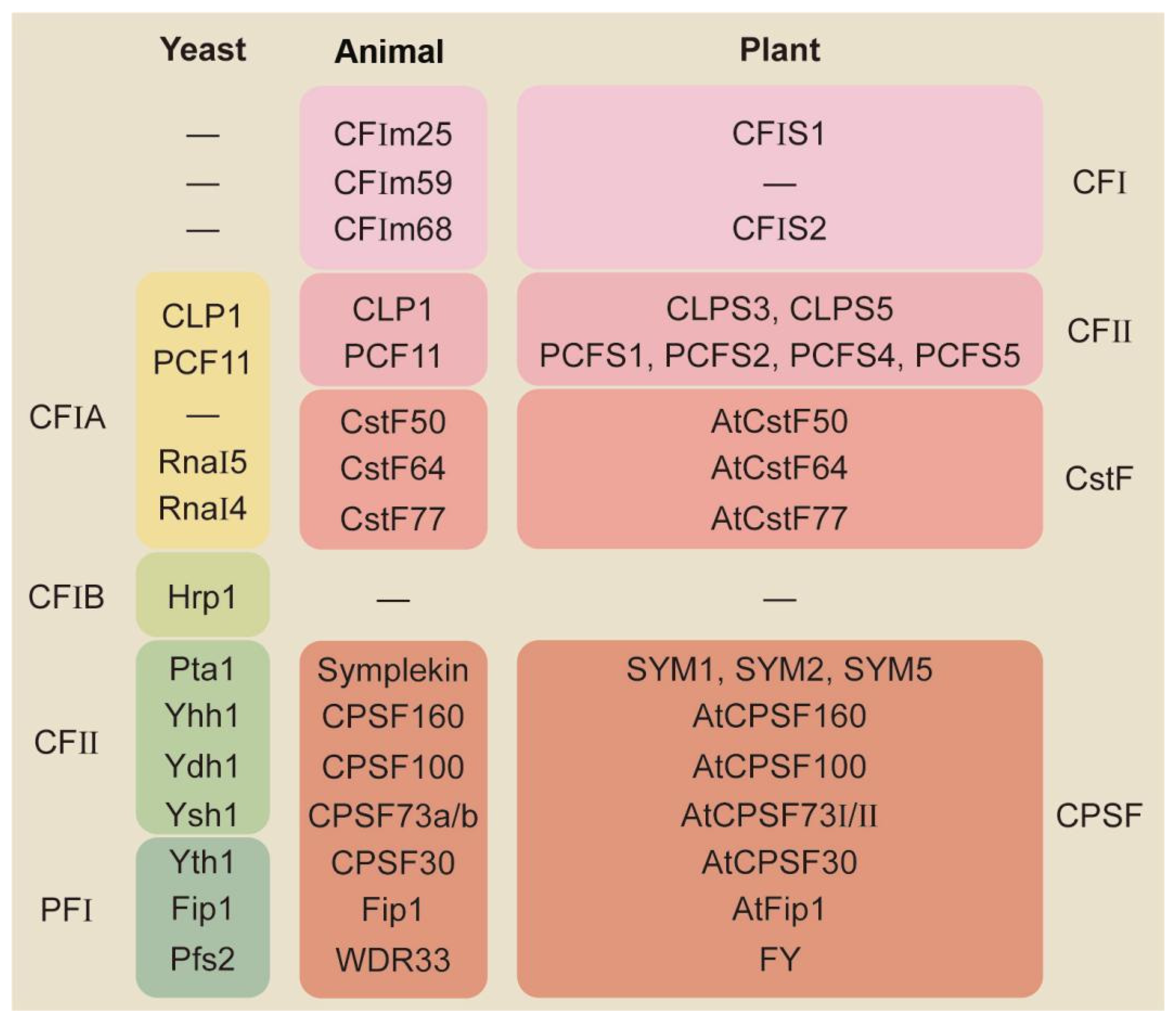 Ijms 24 04727 g001 Ijms 24 04727 g001