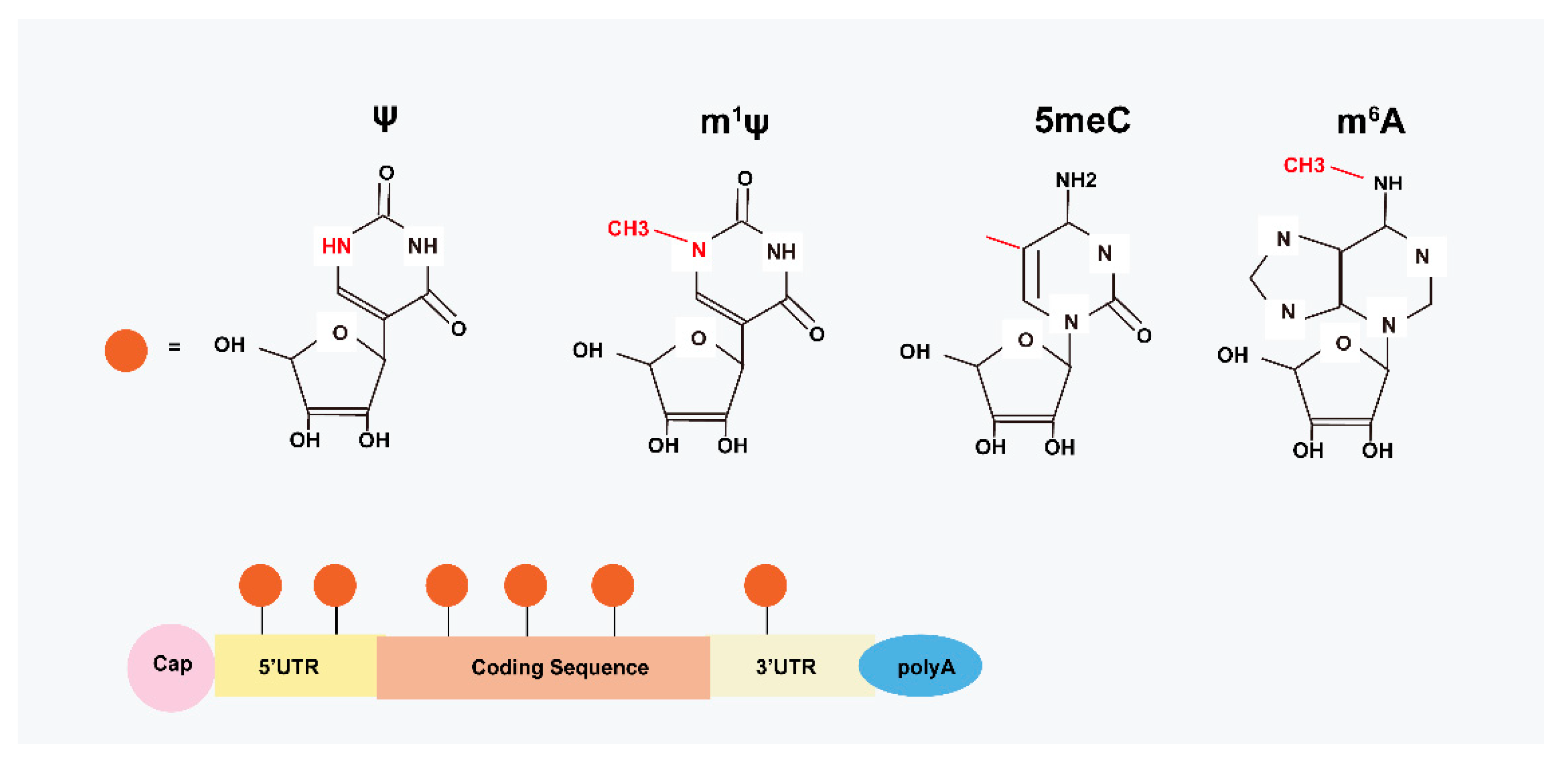 Ijms 24 04737 g001 Ijms 24 04737 g001