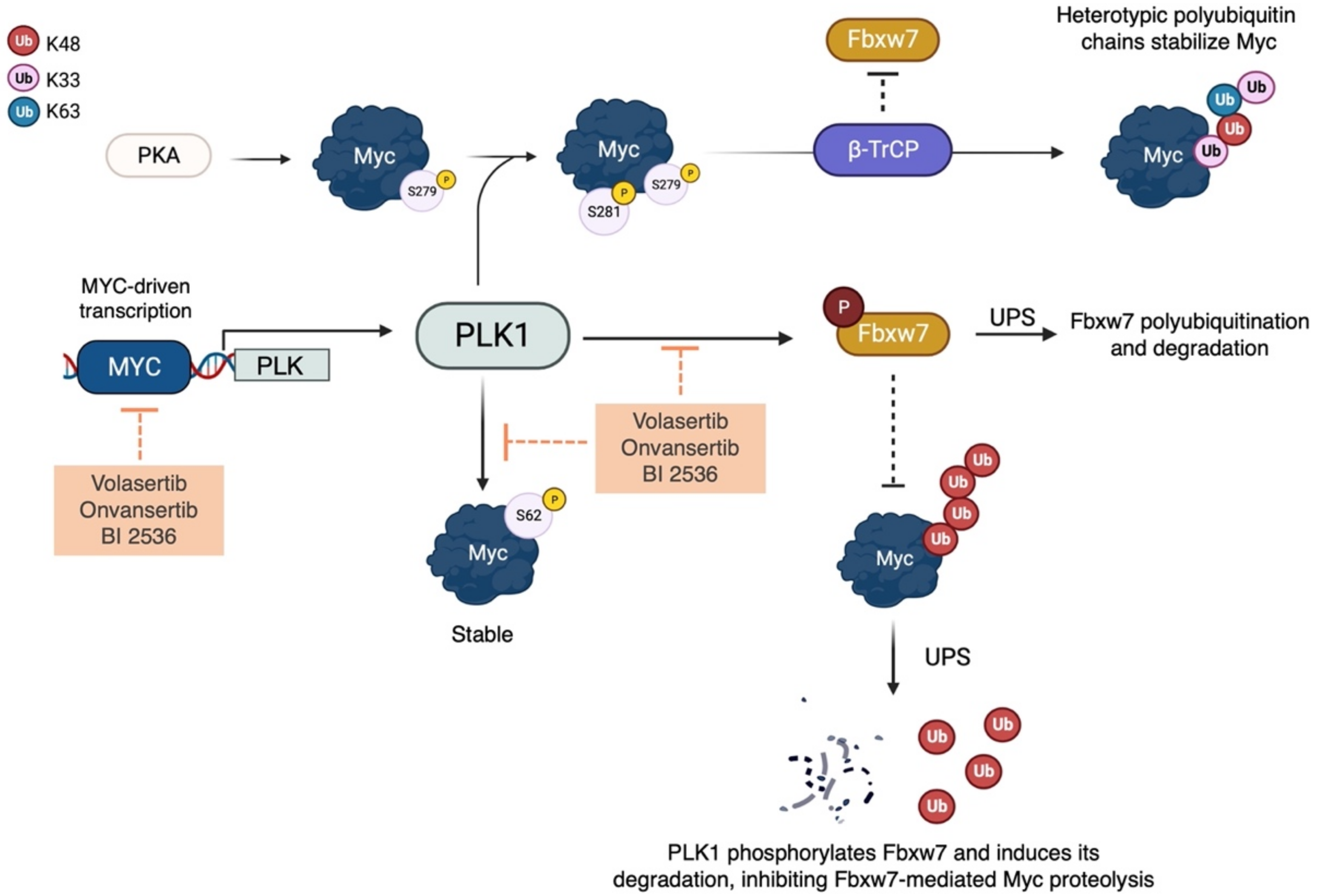 Ijms 24 04746 g002 Ijms 24 04746 g002