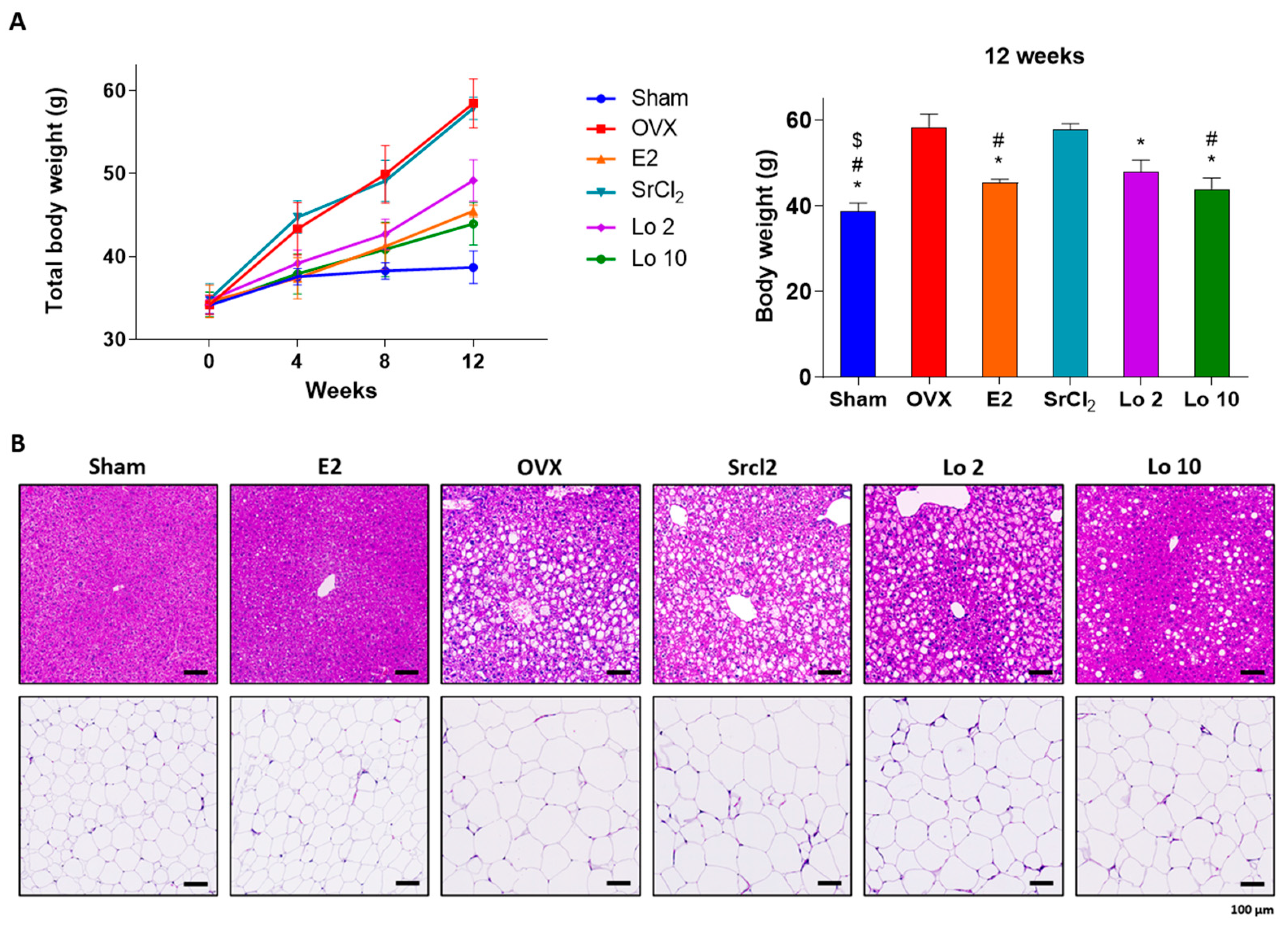 Ijms 24 04752 g003 Ijms 24 04752 g003