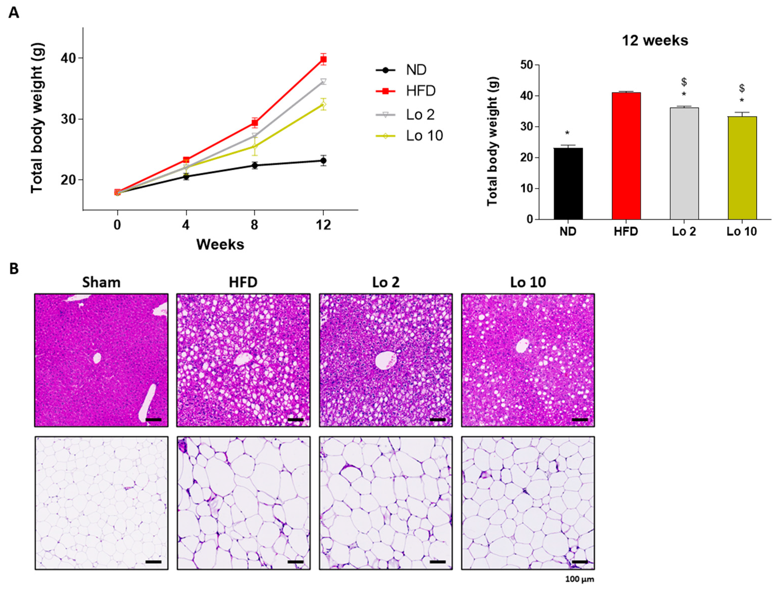 Ijms 24 04752 g004 Ijms 24 04752 g004