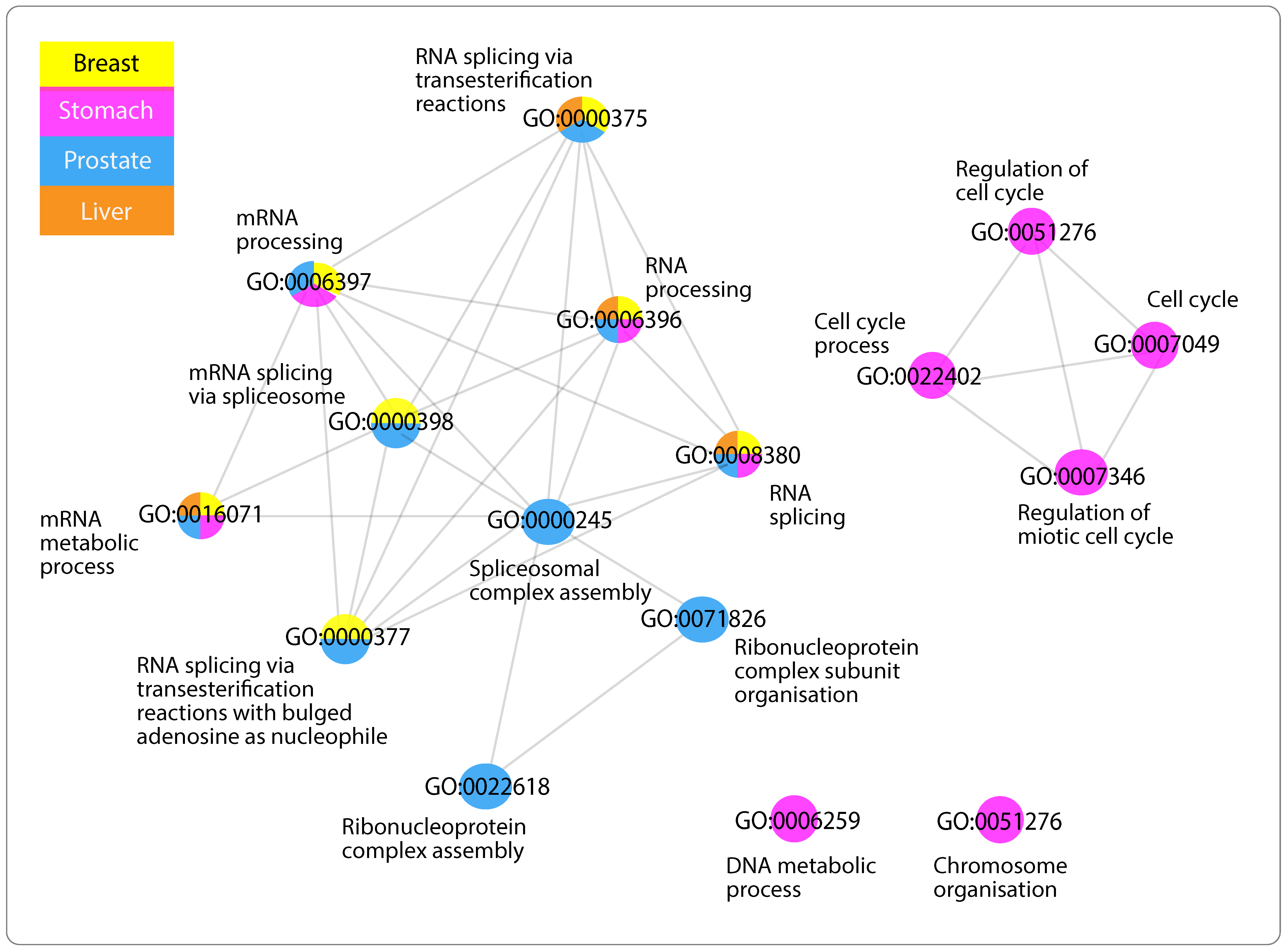 Ijms 24 04796 g004 Ijms 24 04796 g004