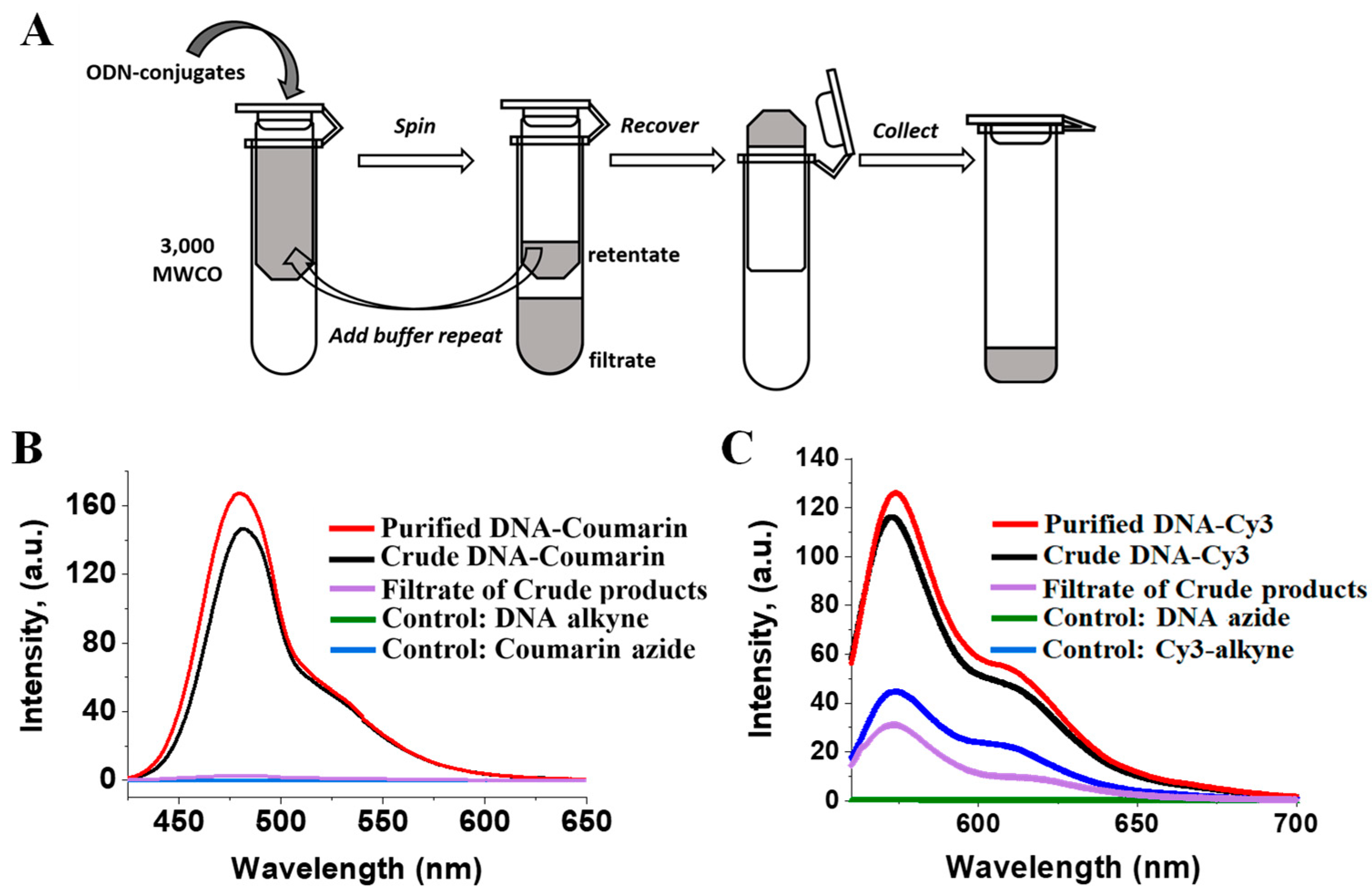 Ijms 24 04797 g003 Ijms 24 04797 g003