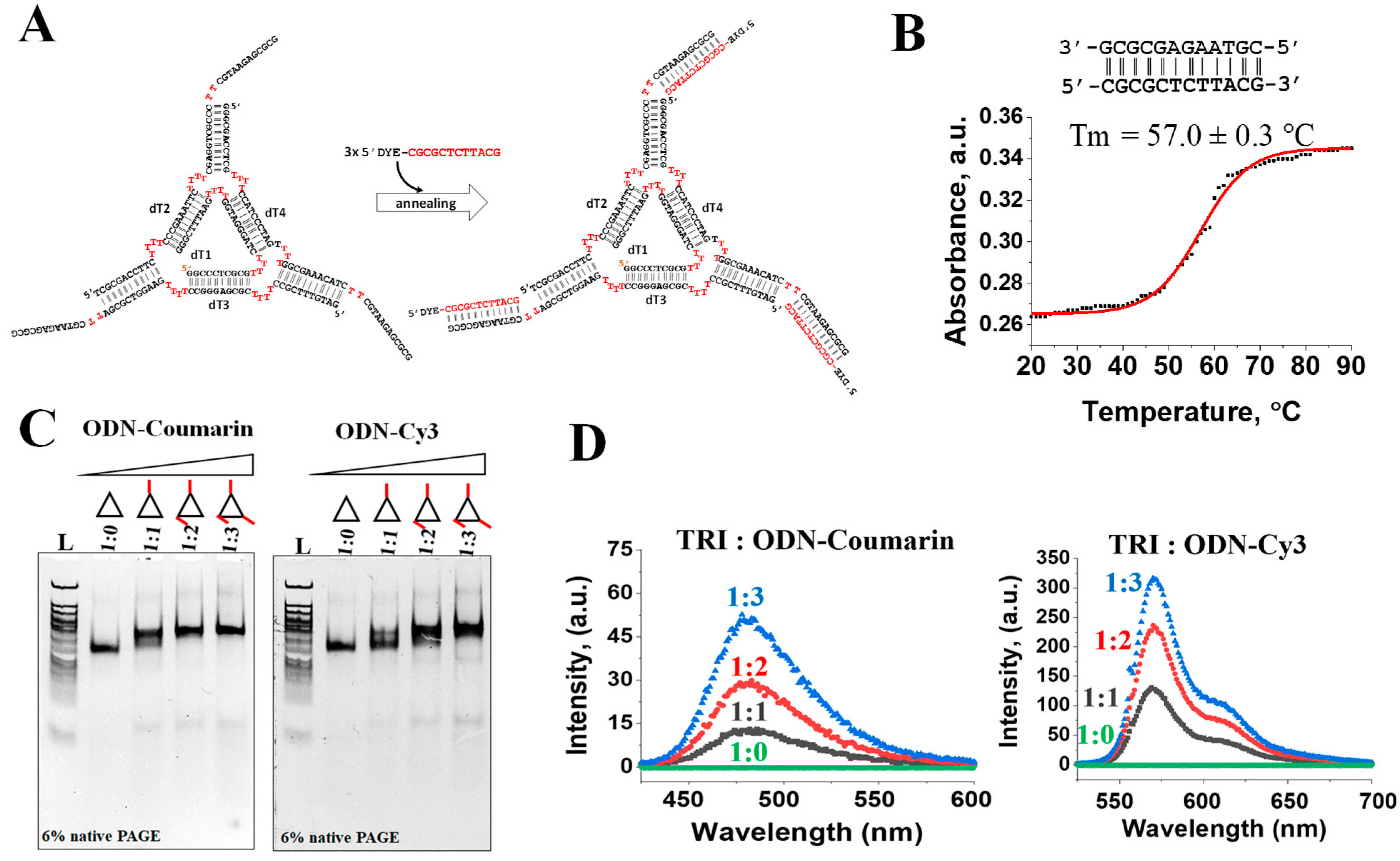 Ijms 24 04797 g004 Ijms 24 04797 g004