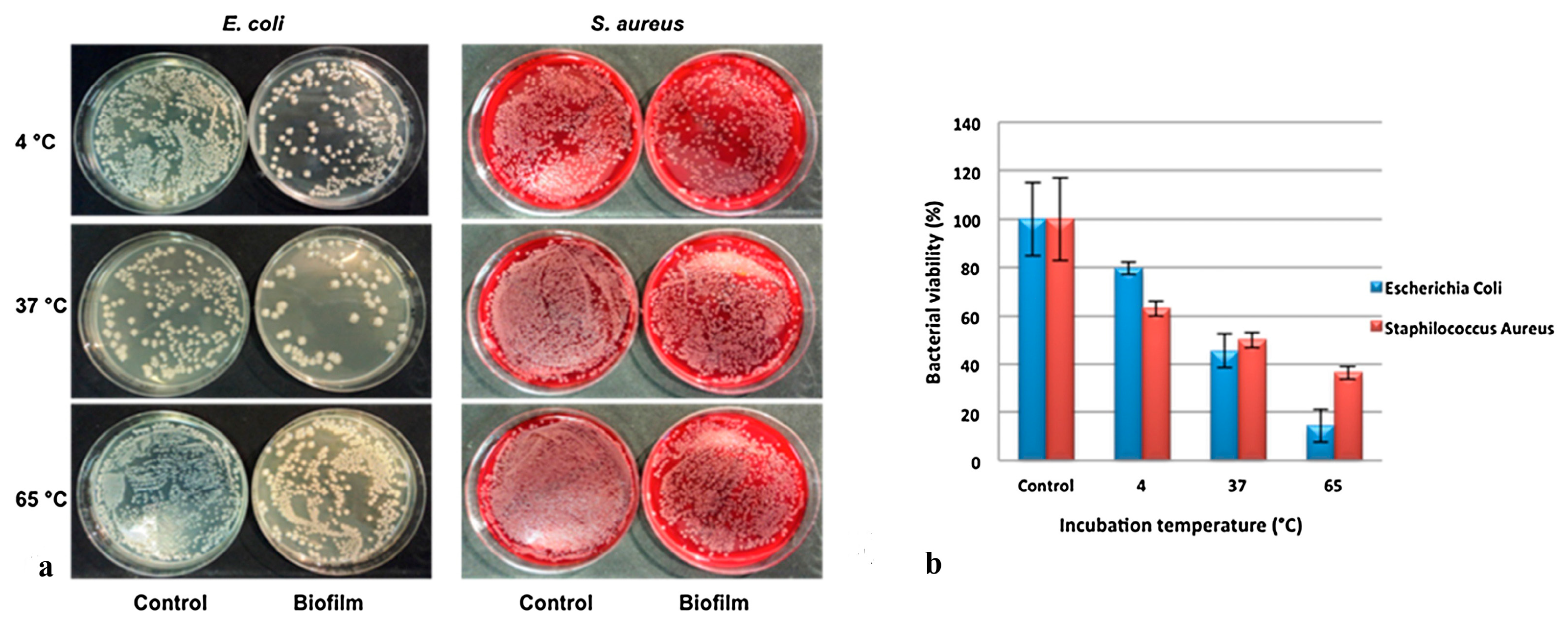 Ijms 24 04801 g007 Ijms 24 04801 g007
