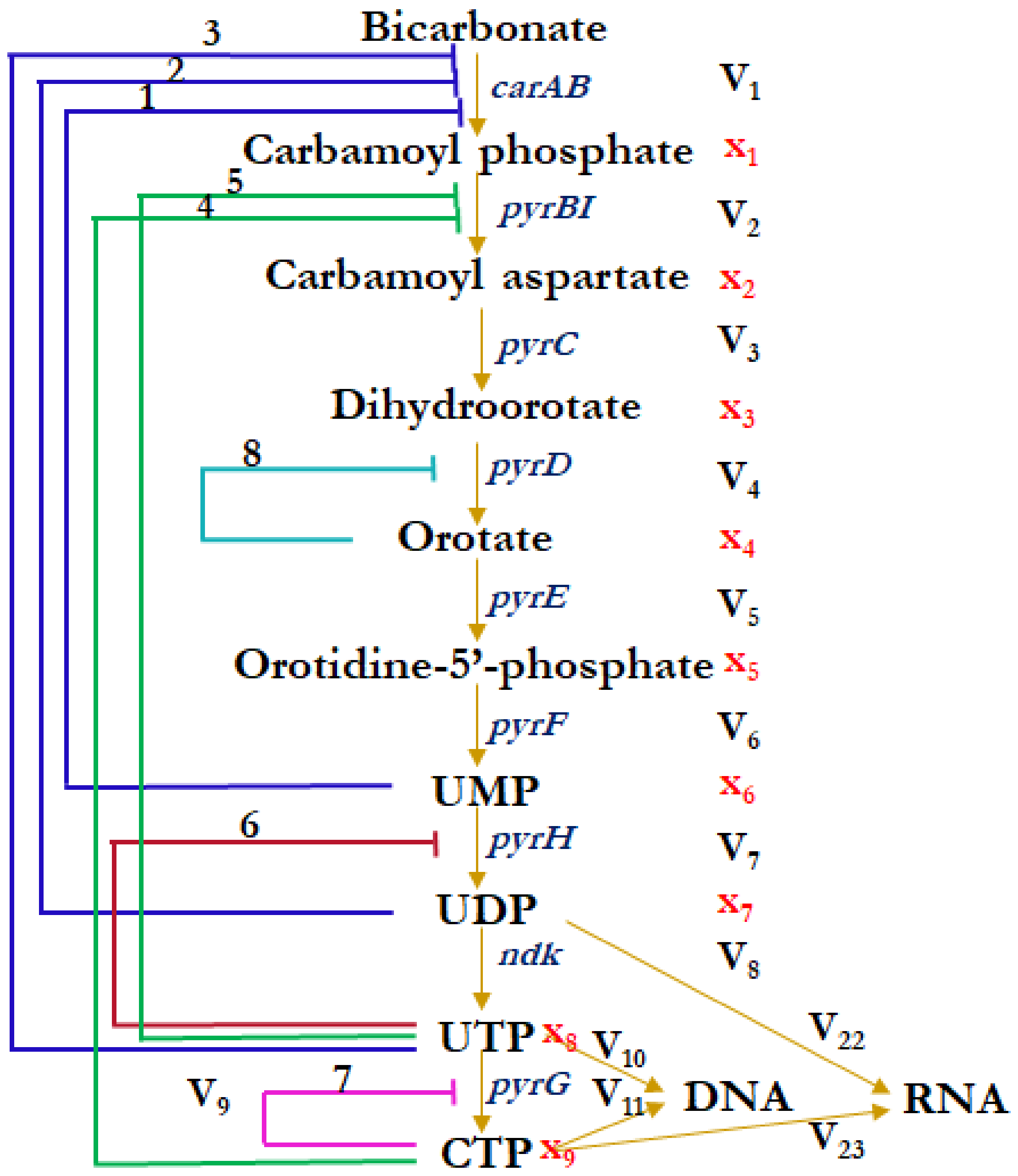 Ijms 24 04806 g001 Ijms 24 04806 g001