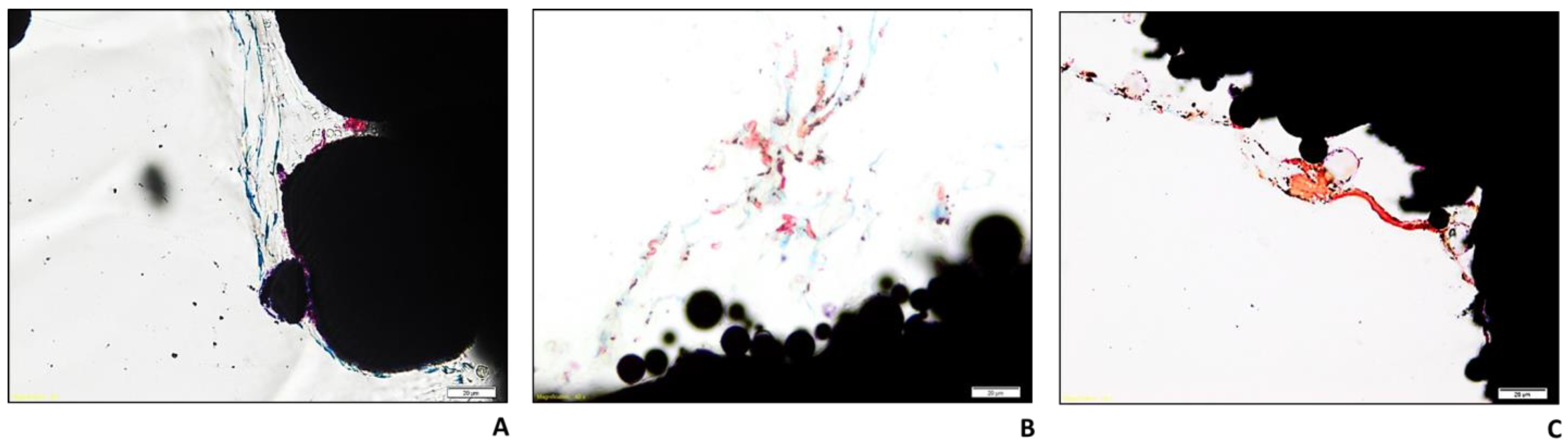 Ijms 24 04810 g006 Ijms 24 04810 g006