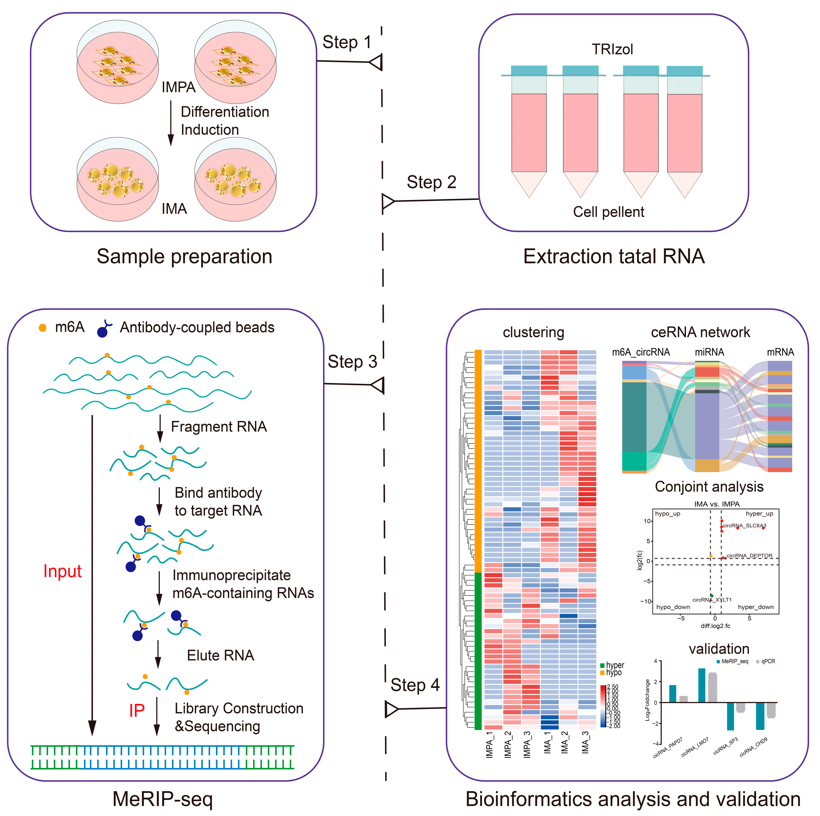 Ijms 24 04817 g002 Ijms 24 04817 g002
