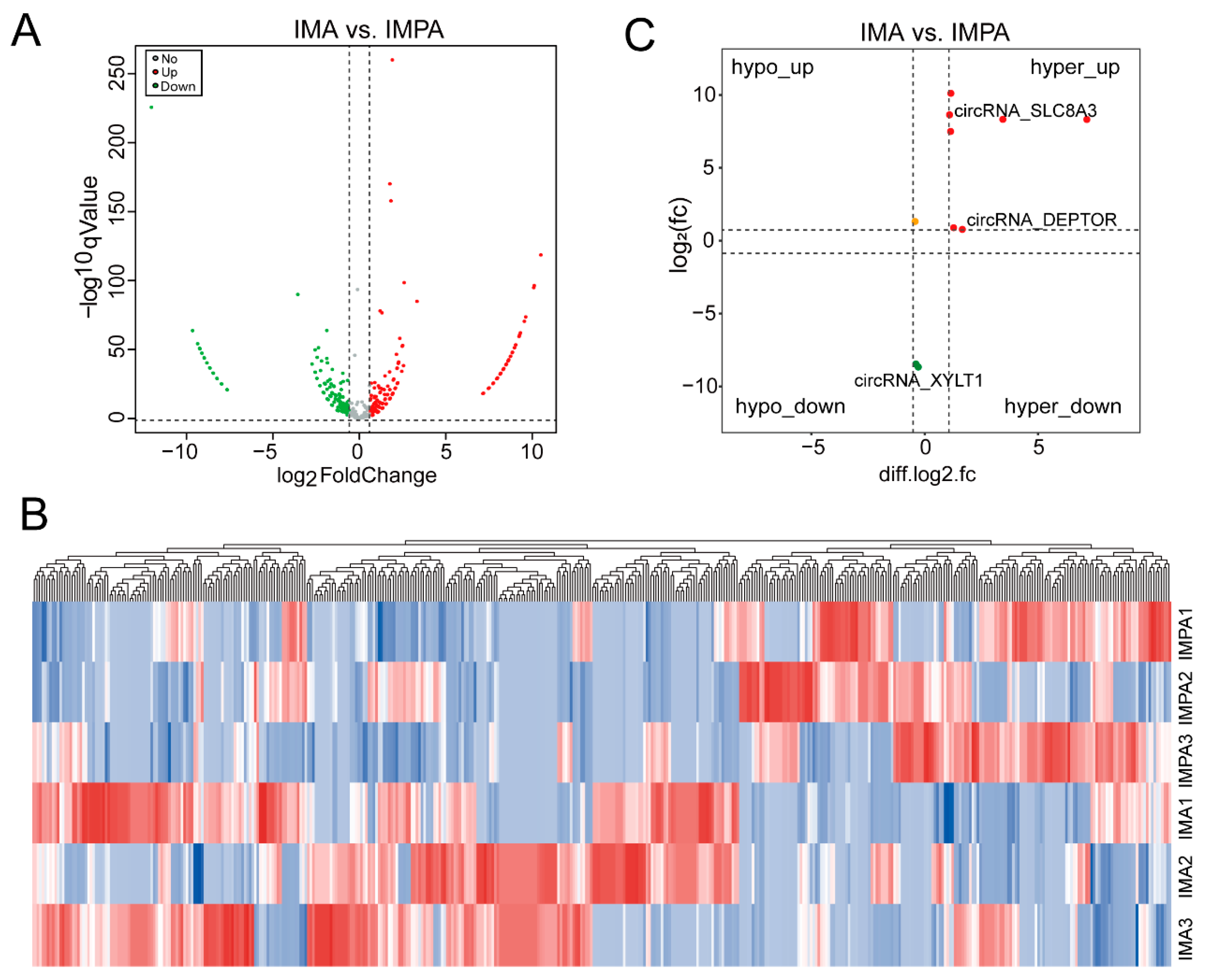 Ijms 24 04817 g006 Ijms 24 04817 g006