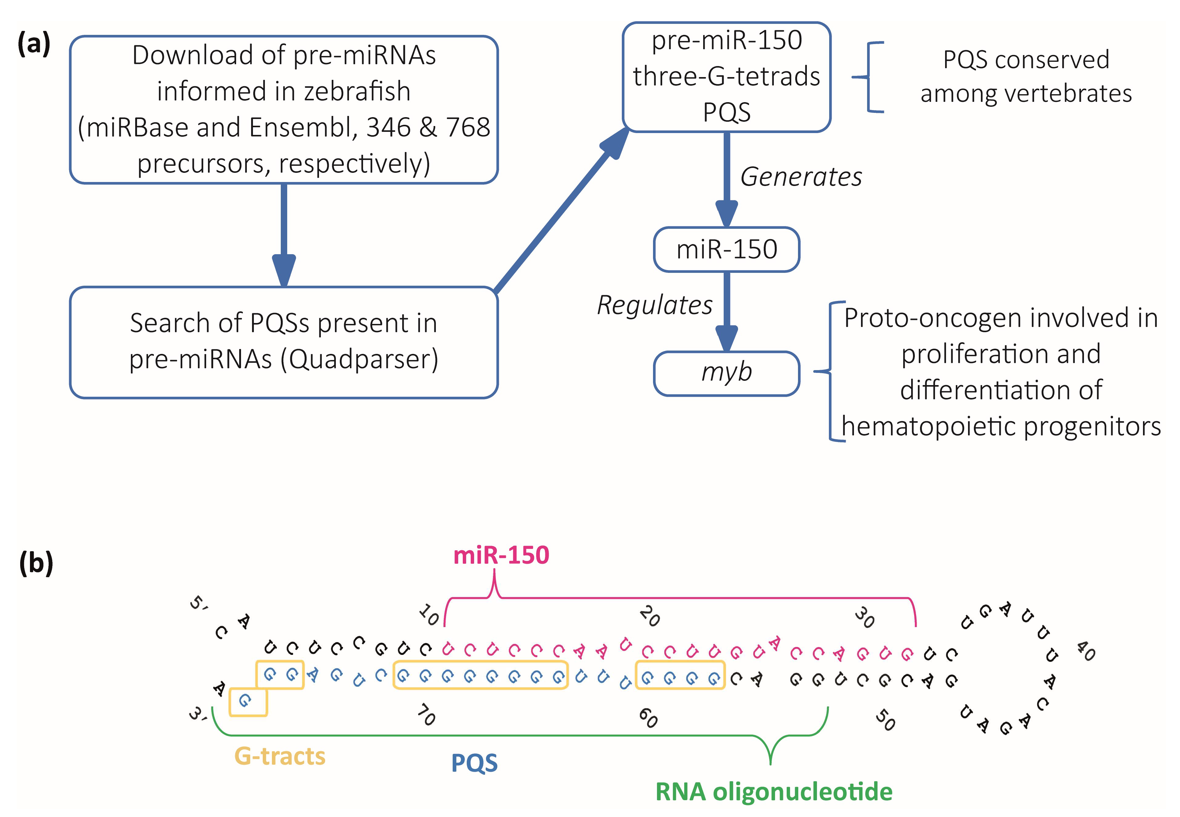 Ijms 24 04828 g001 Ijms 24 04828 g001