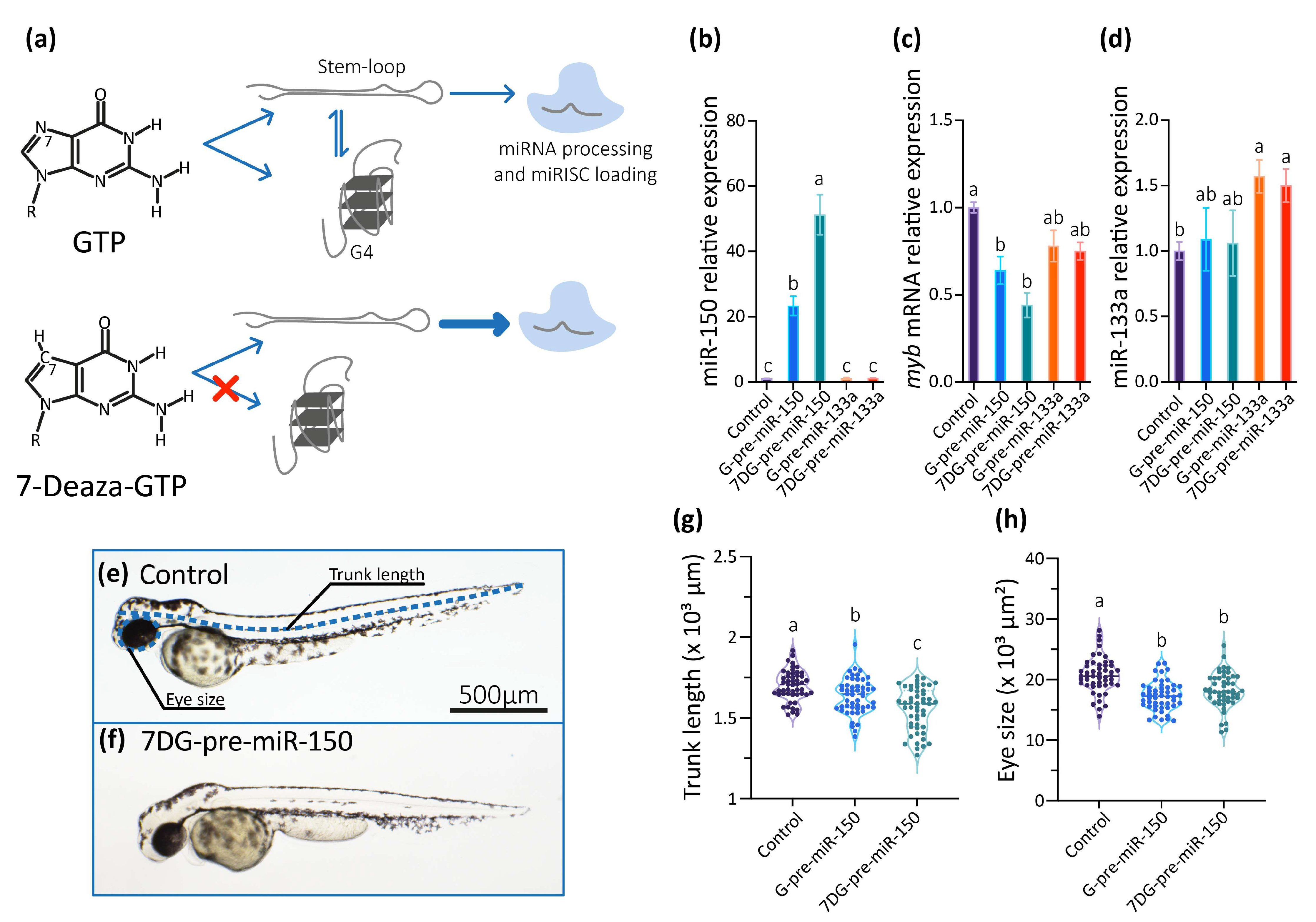 Ijms 24 04828 g003 Ijms 24 04828 g003