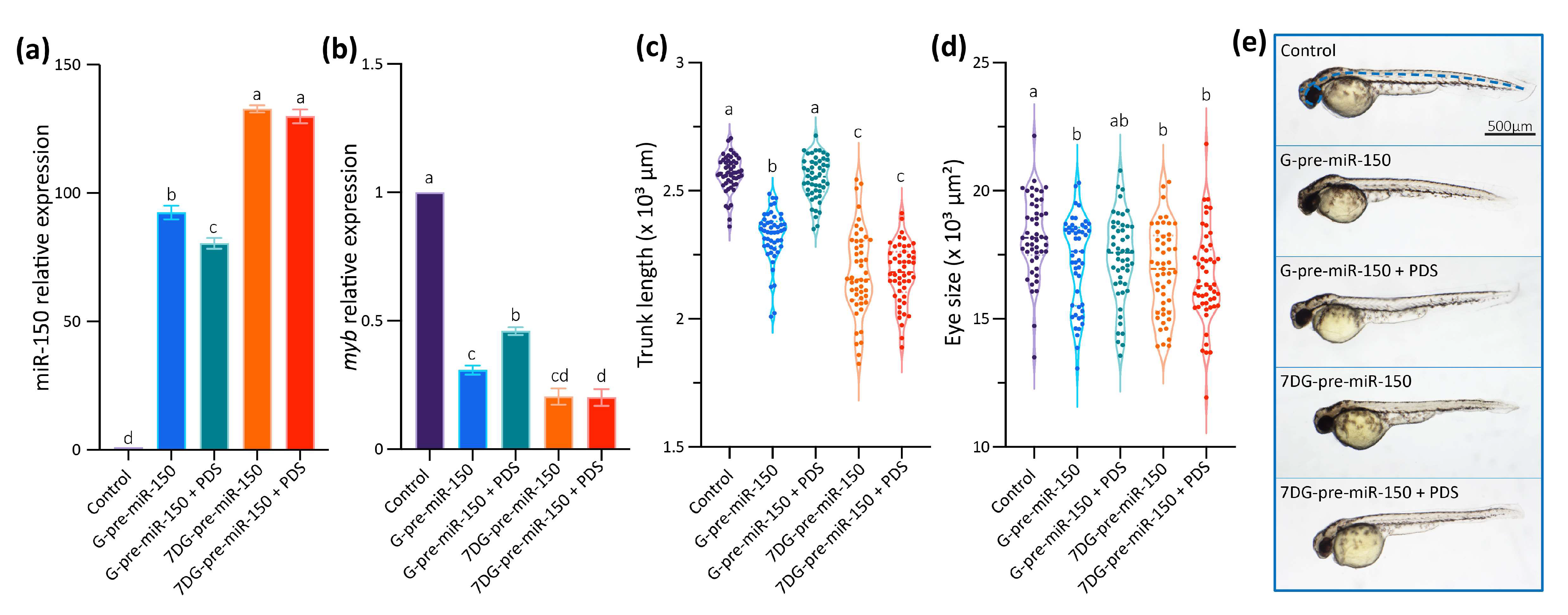 Ijms 24 04828 g005 Ijms 24 04828 g005
