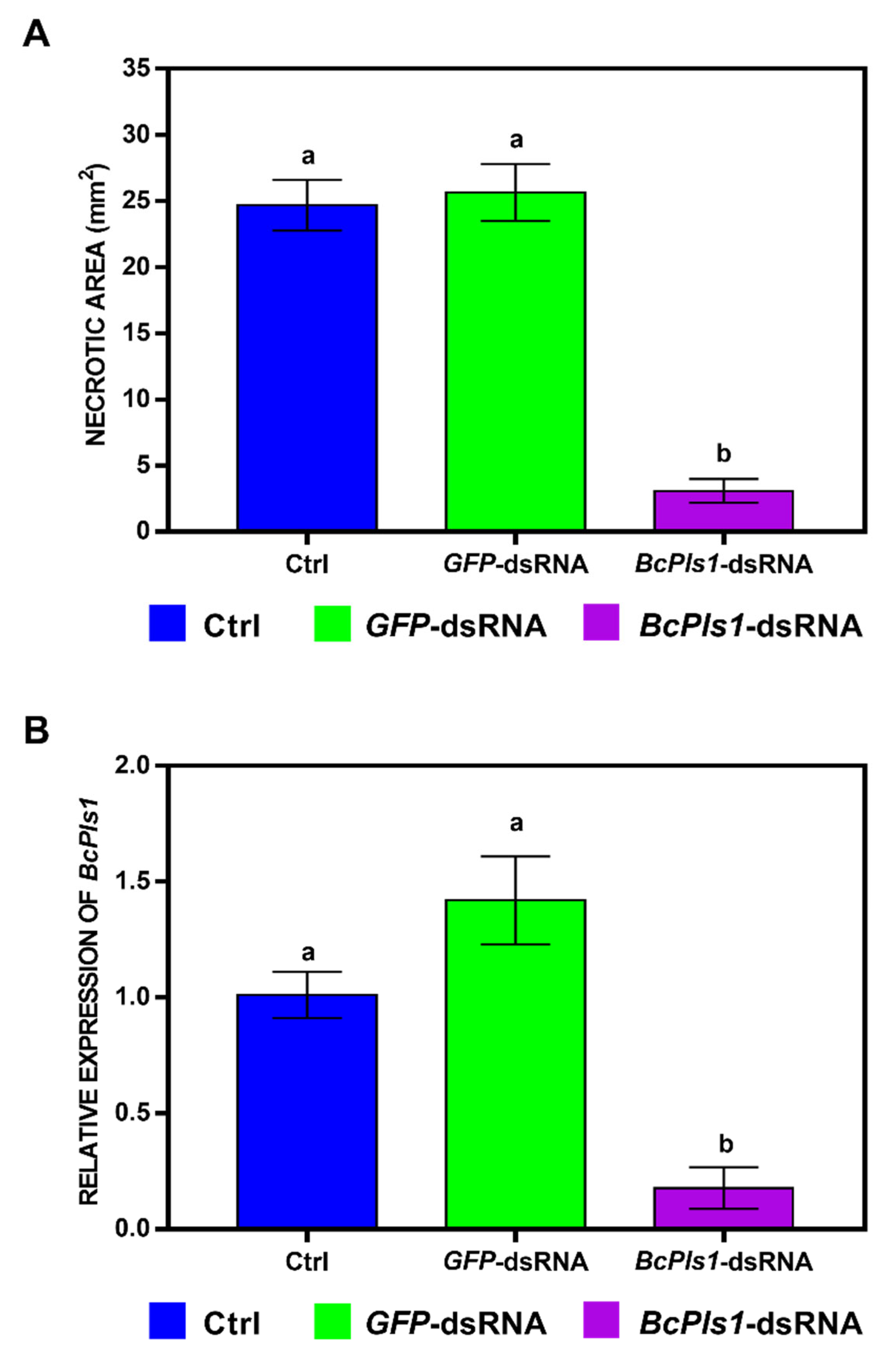 Ijms 24 04869 g006 Ijms 24 04869 g006