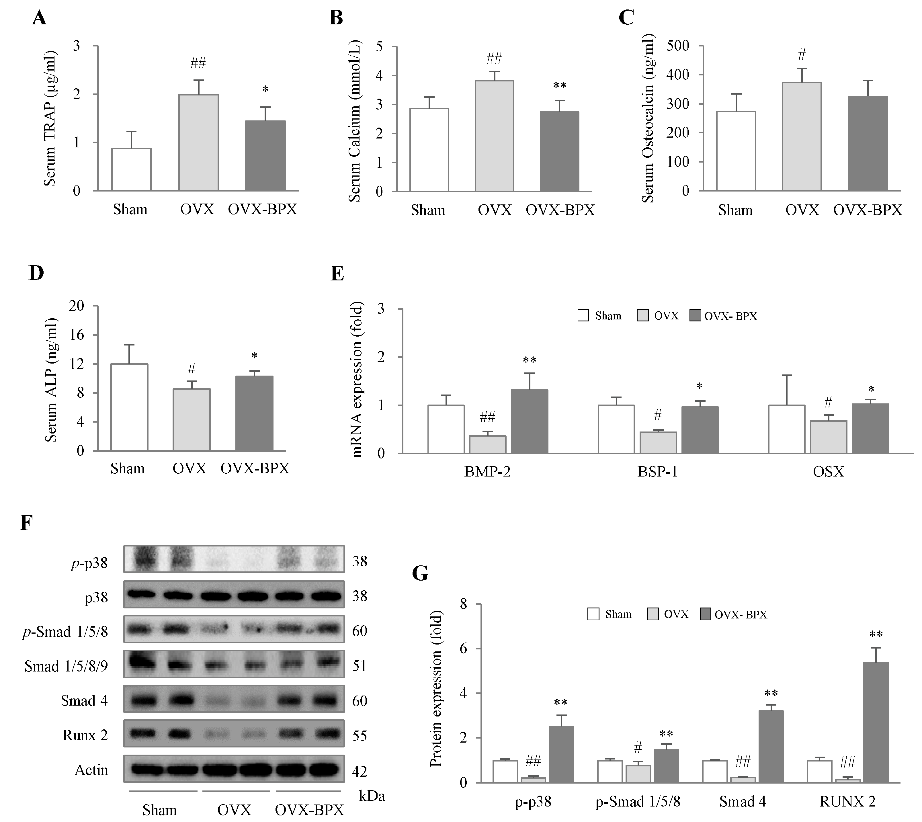 Ijms 24 04876 g004 Ijms 24 04876 g004
