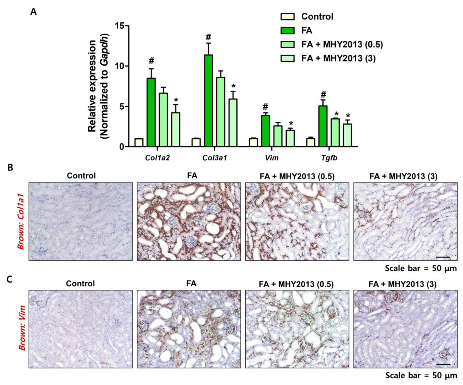 Ijms 24 04882 g002 Ijms 24 04882 g002