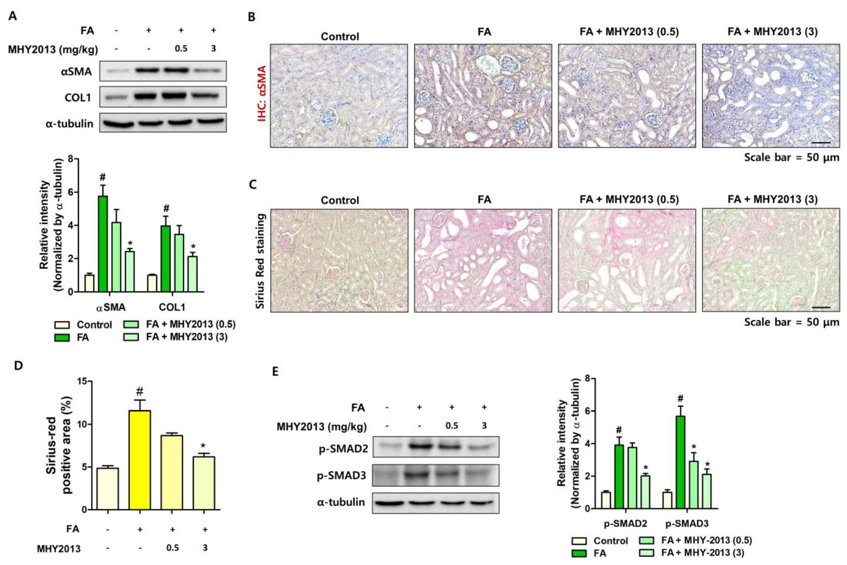 Ijms 24 04882 g003 Ijms 24 04882 g003