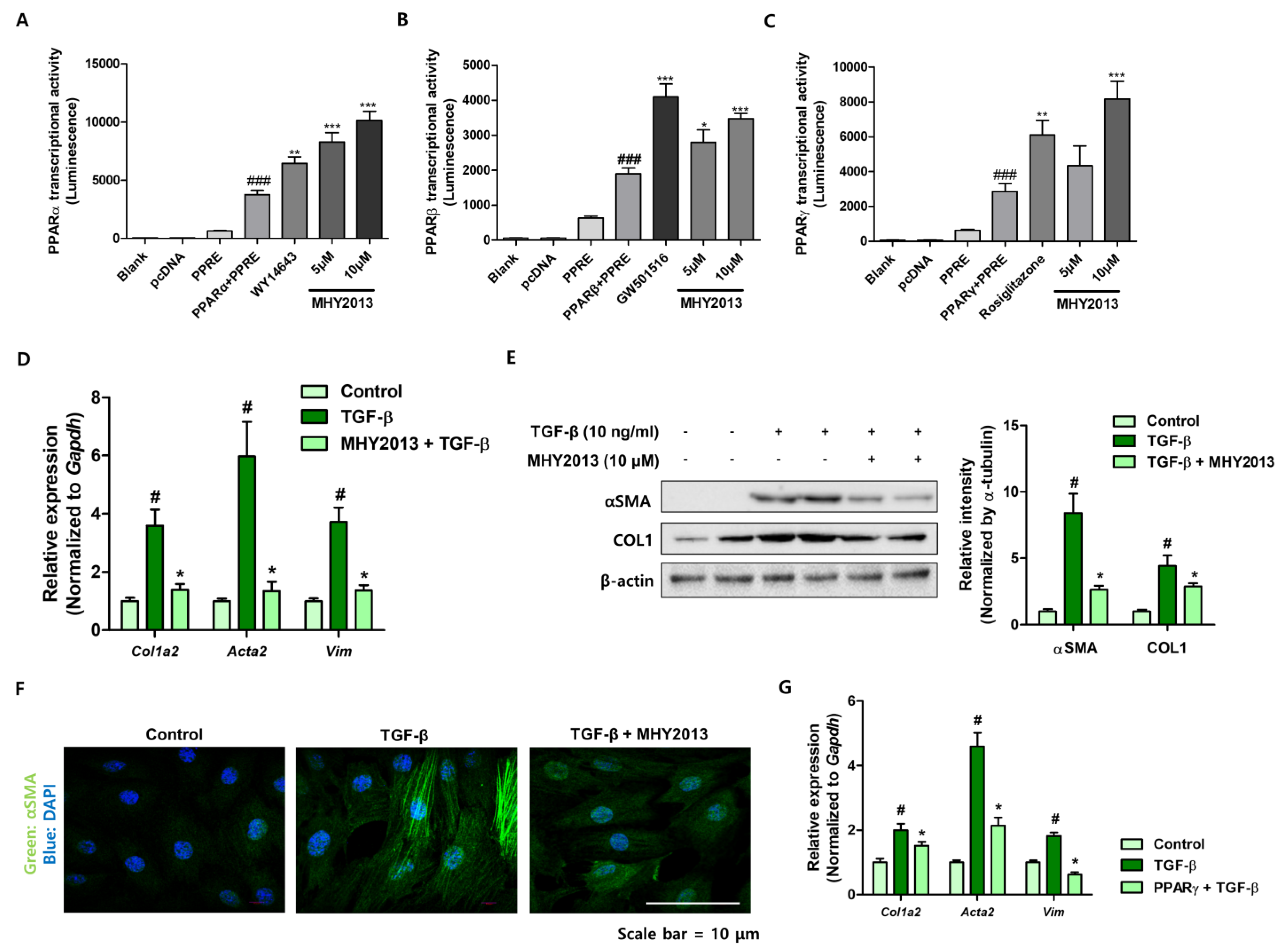 Ijms 24 04882 g005 Ijms 24 04882 g005