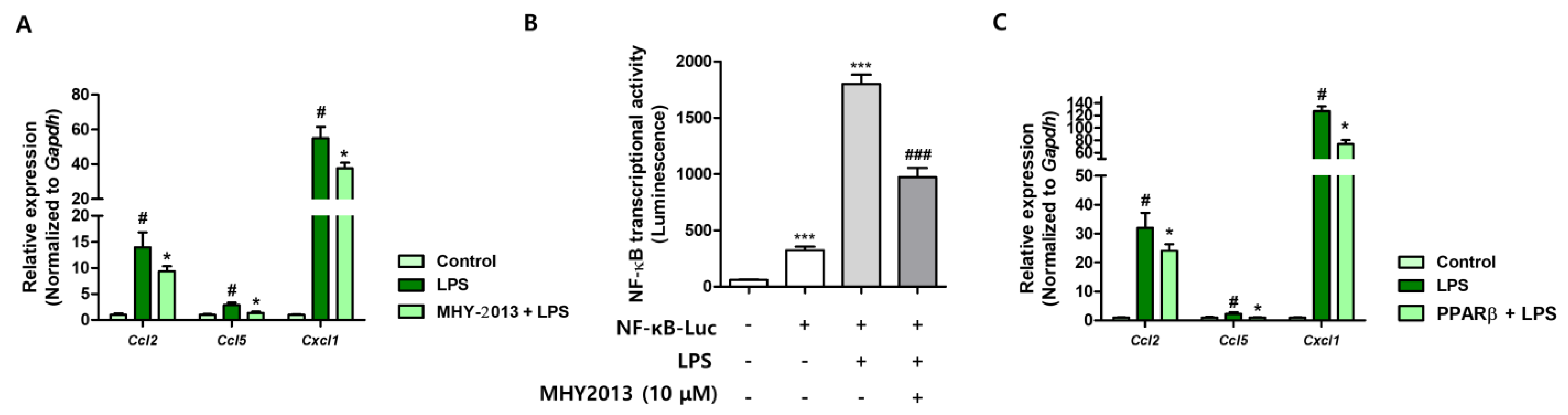 Ijms 24 04882 g006 Ijms 24 04882 g006