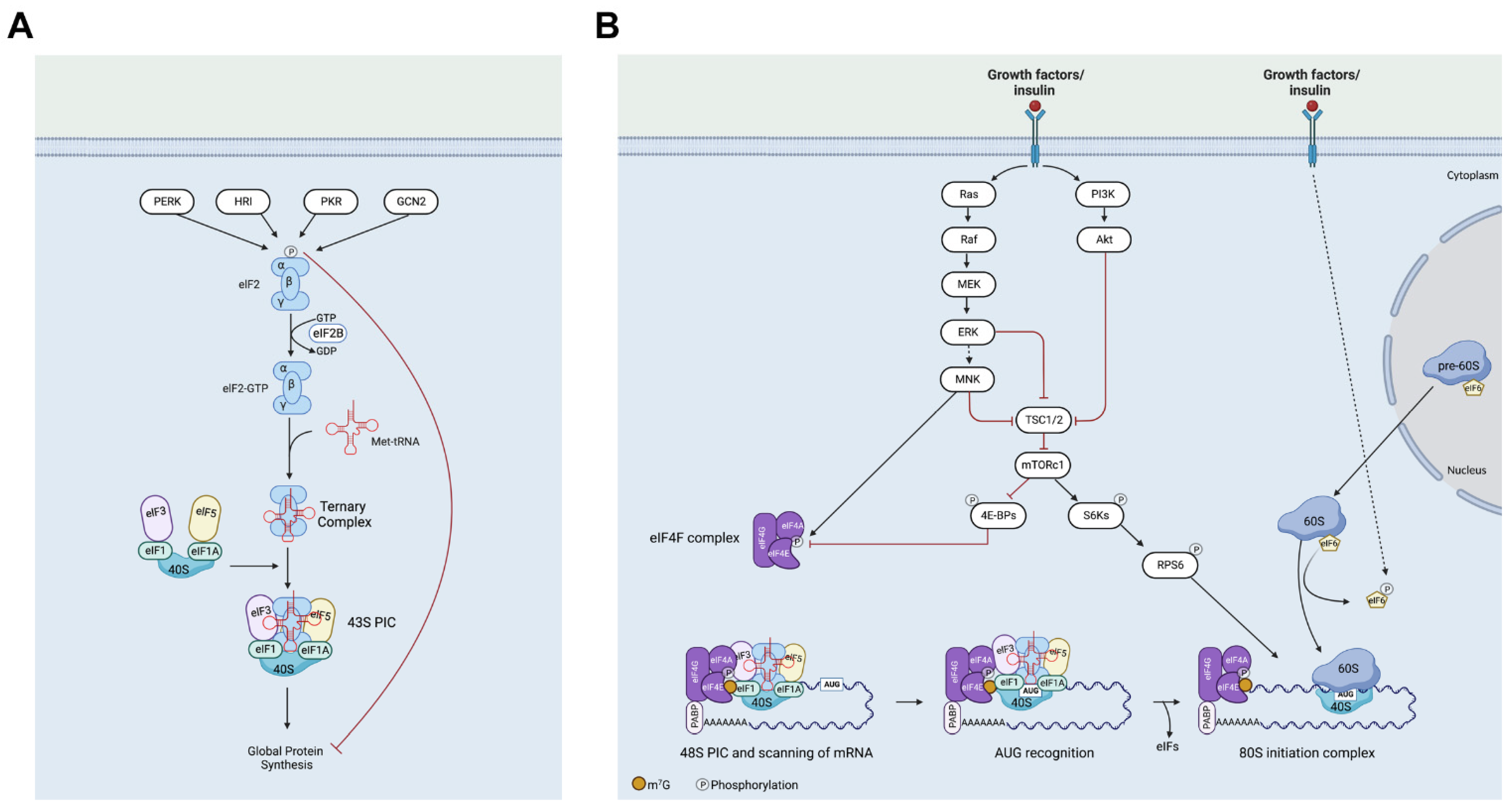 Ijms 24 04885 g001 Ijms 24 04885 g001