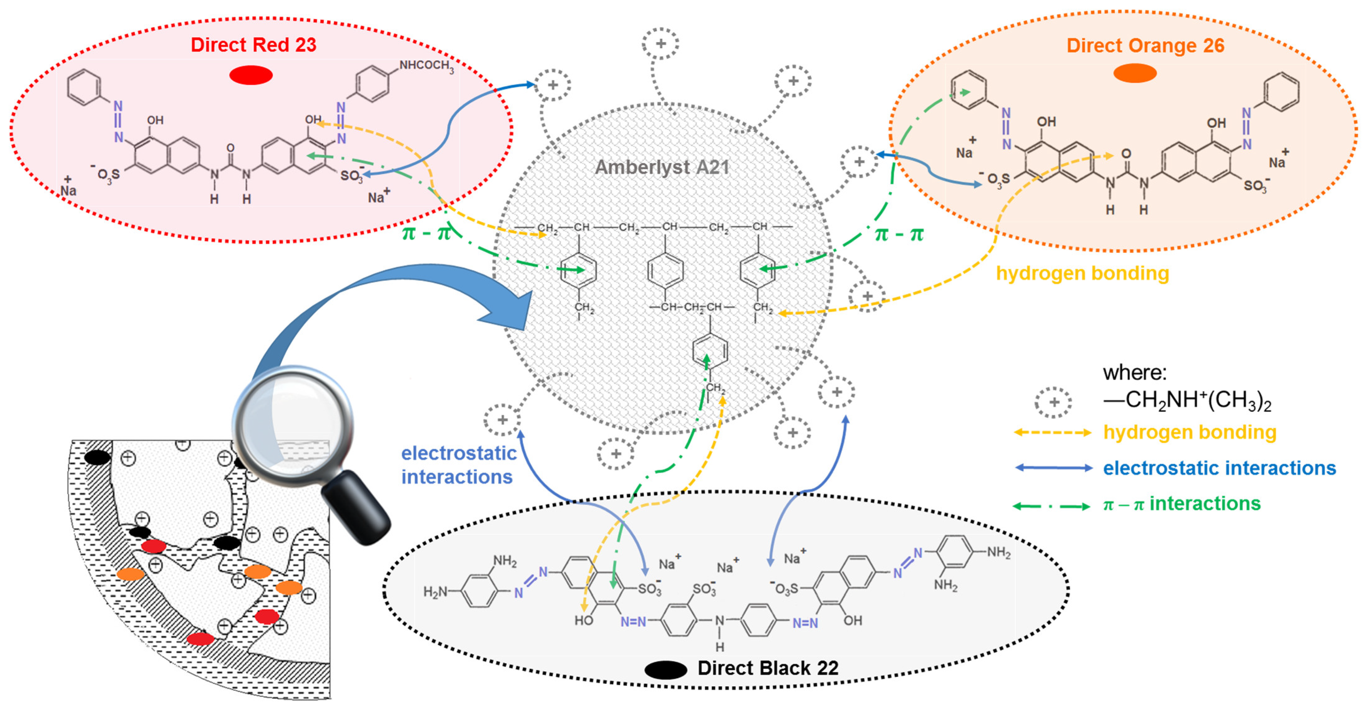 Ijms 24 04886 g003 Ijms 24 04886 g003