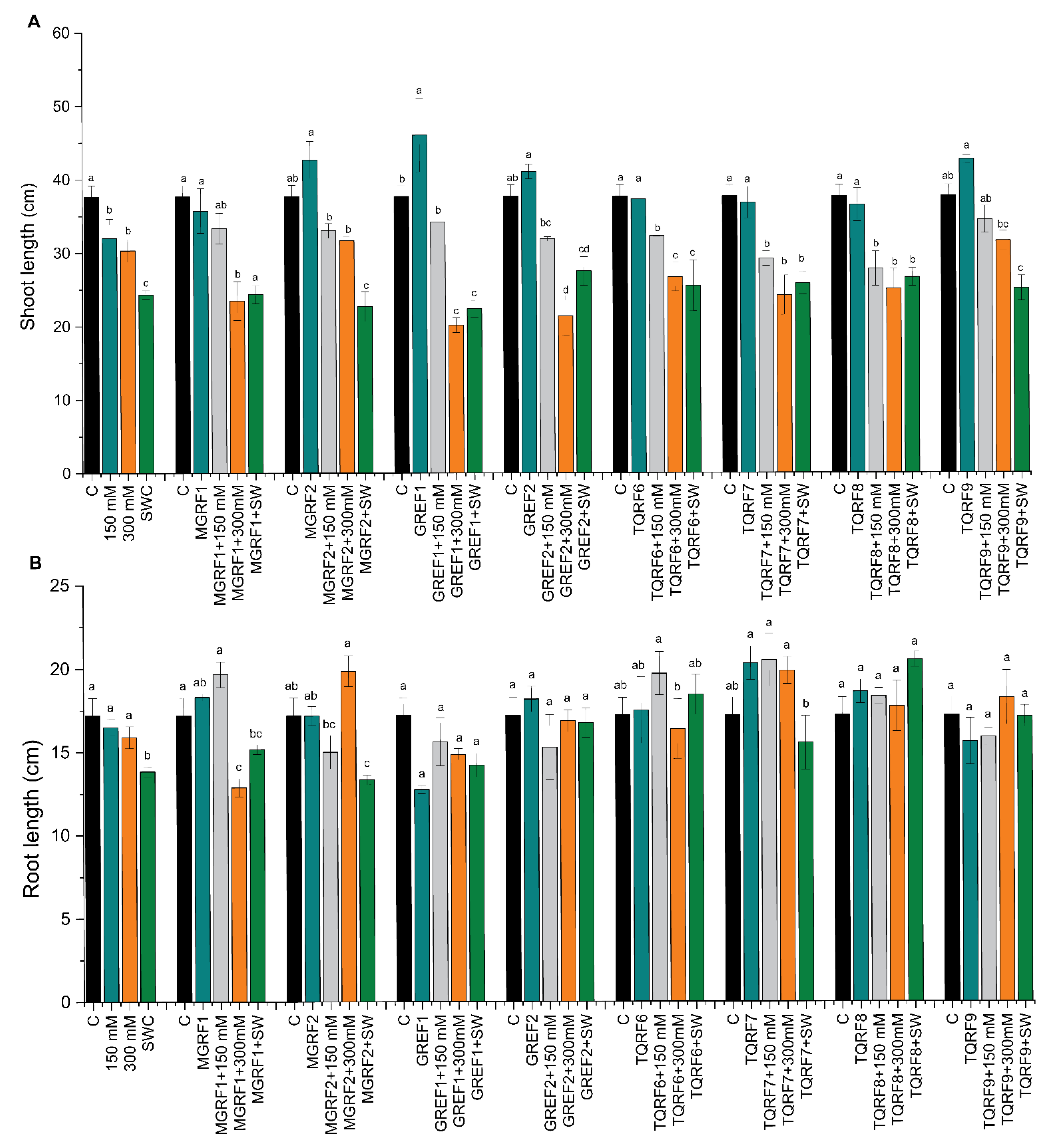 Ijms 24 04904 g002 Ijms 24 04904 g002