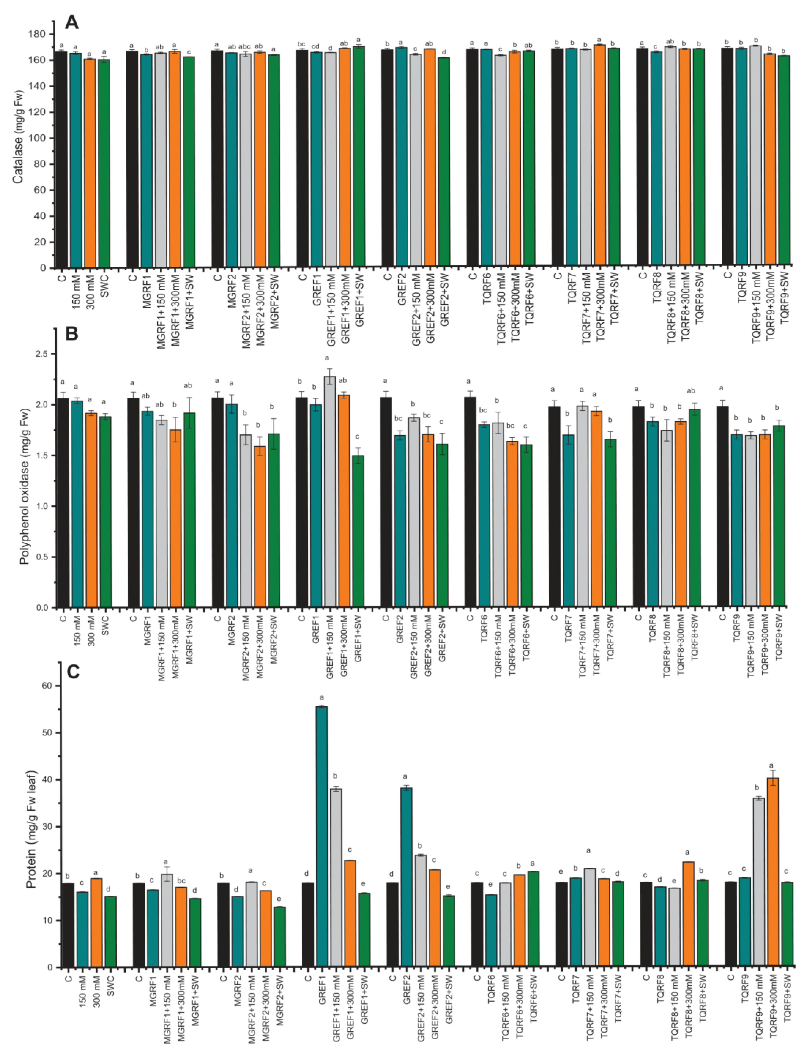 Ijms 24 04904 g004 Ijms 24 04904 g004