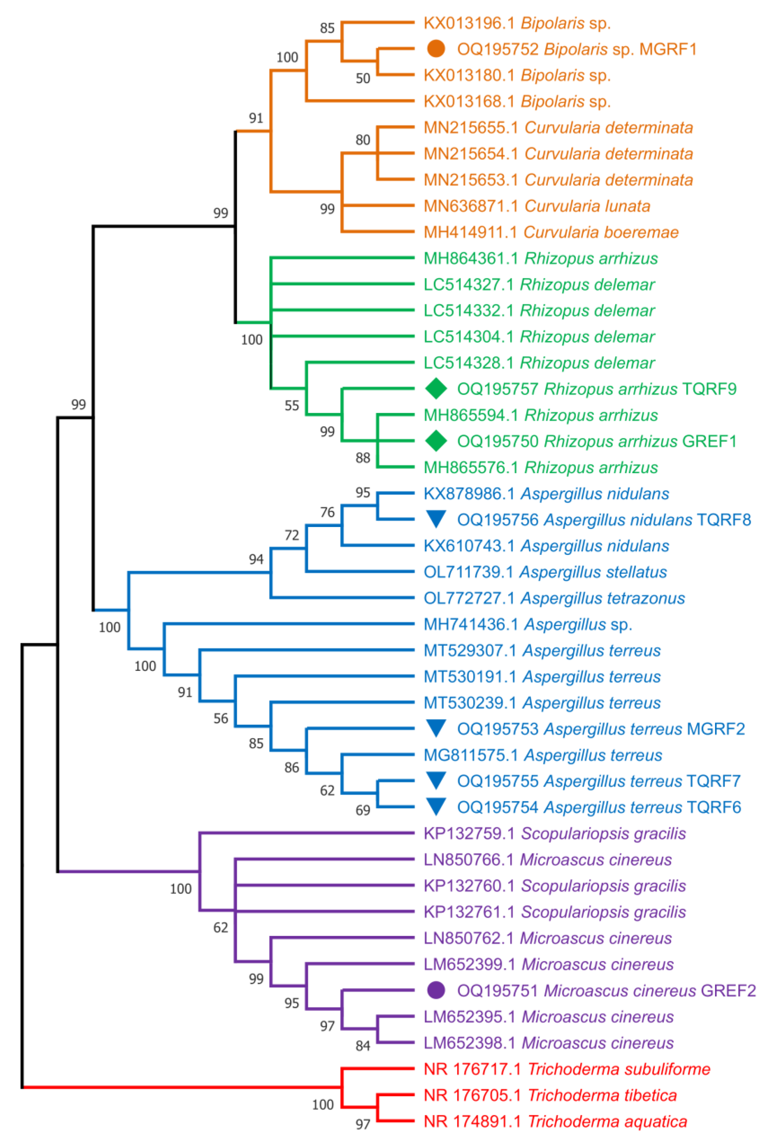 Ijms 24 04904 g008 Ijms 24 04904 g008