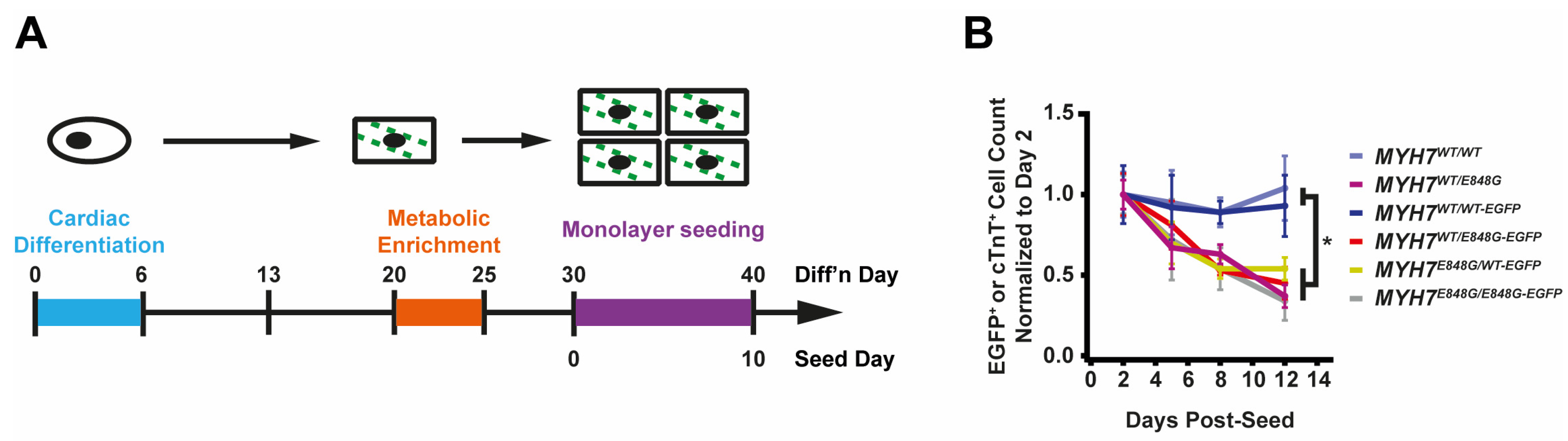 Ijms 24 04909 g002a Ijms 24 04909 g002a