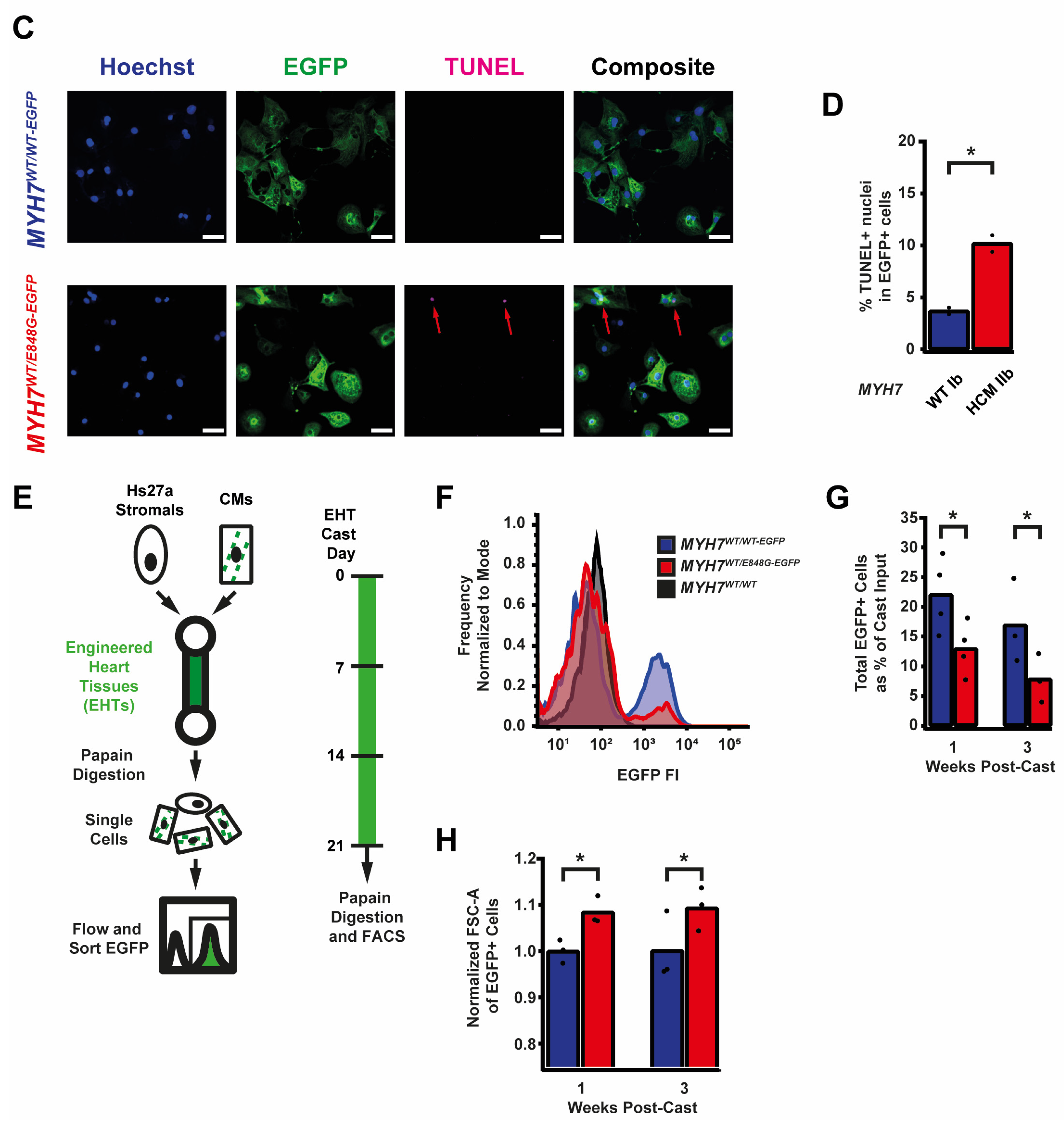 Ijms 24 04909 g002b Ijms 24 04909 g002b