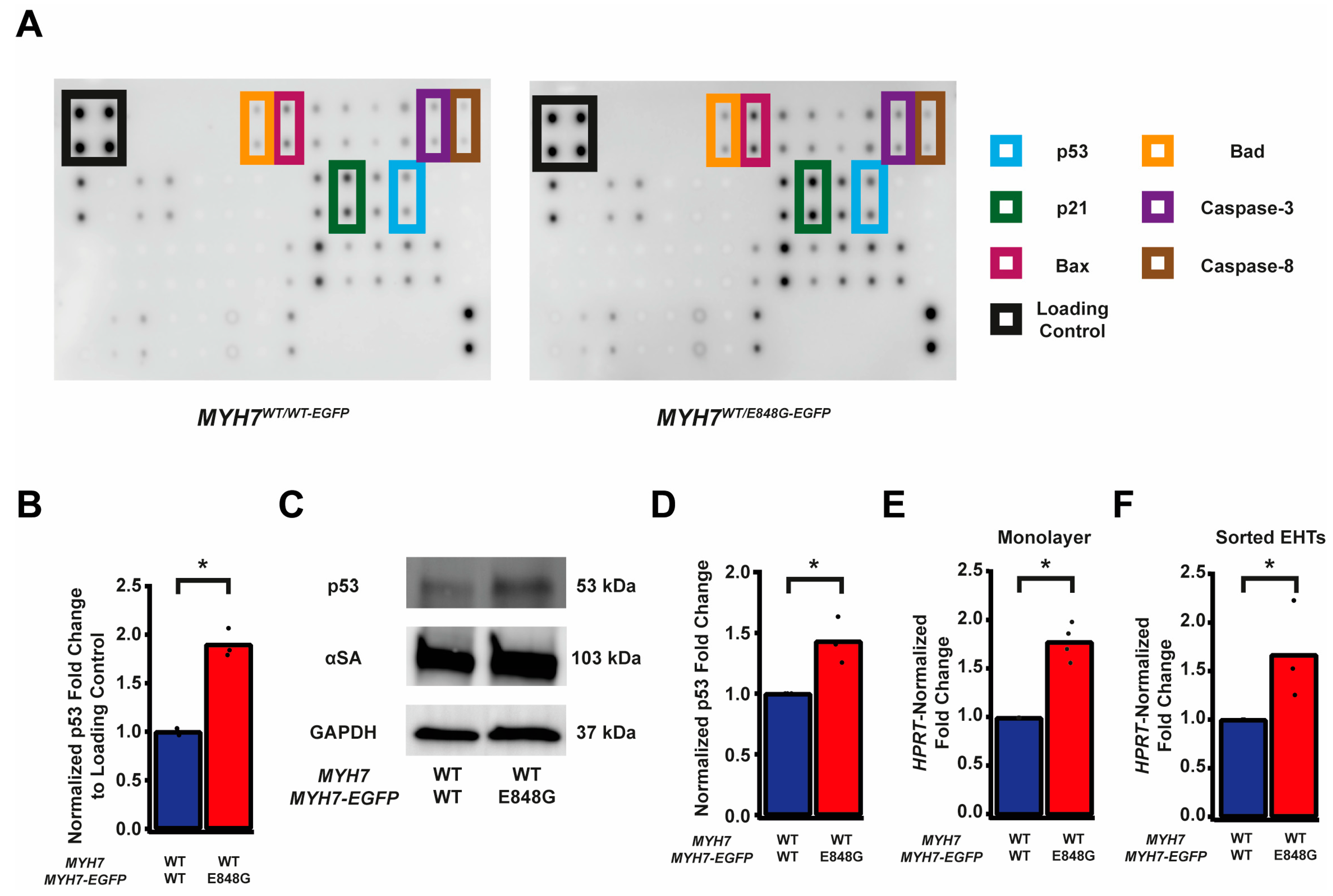 Ijms 24 04909 g003 Ijms 24 04909 g003