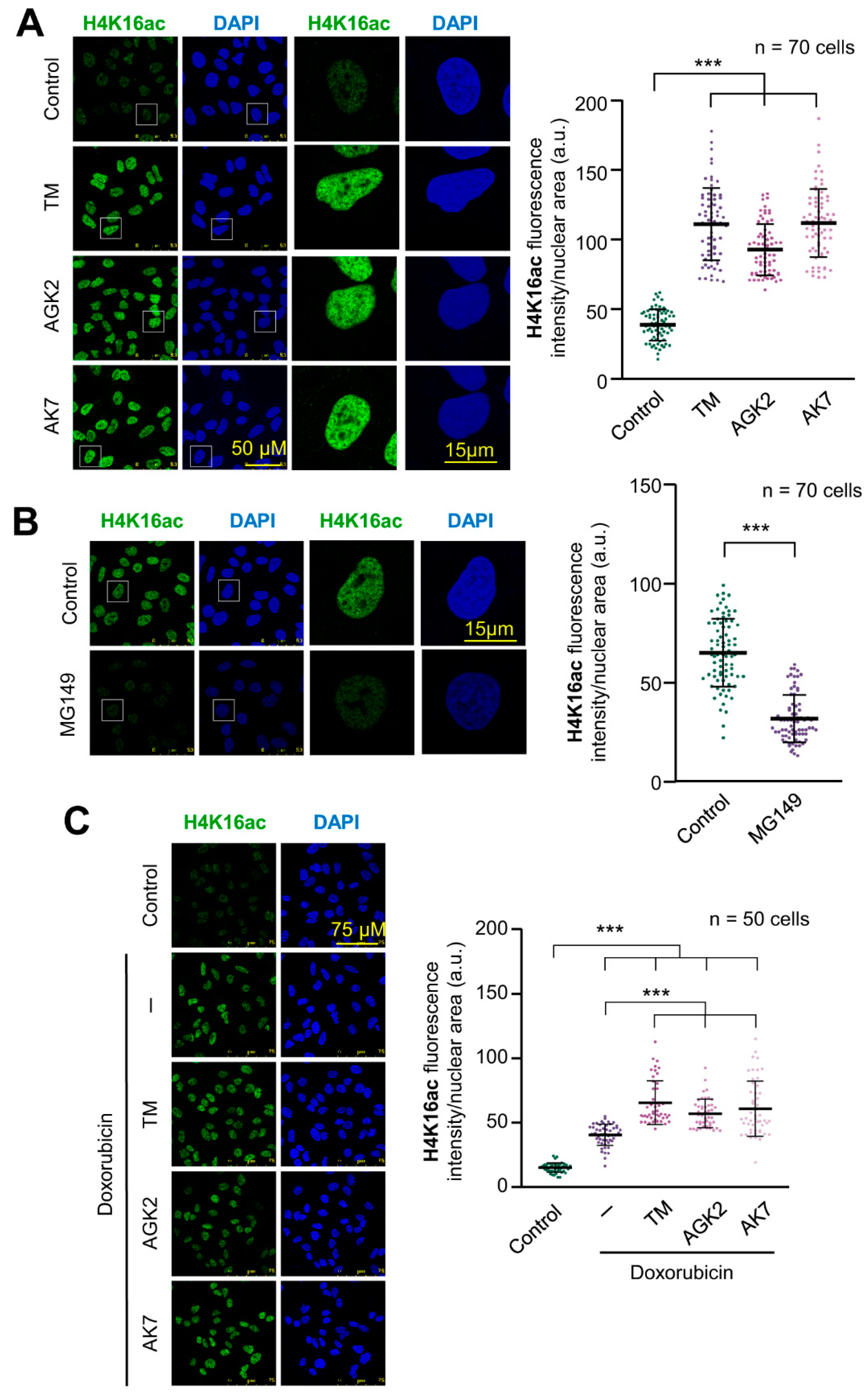 Ijms 24 04912 g001 Ijms 24 04912 g001