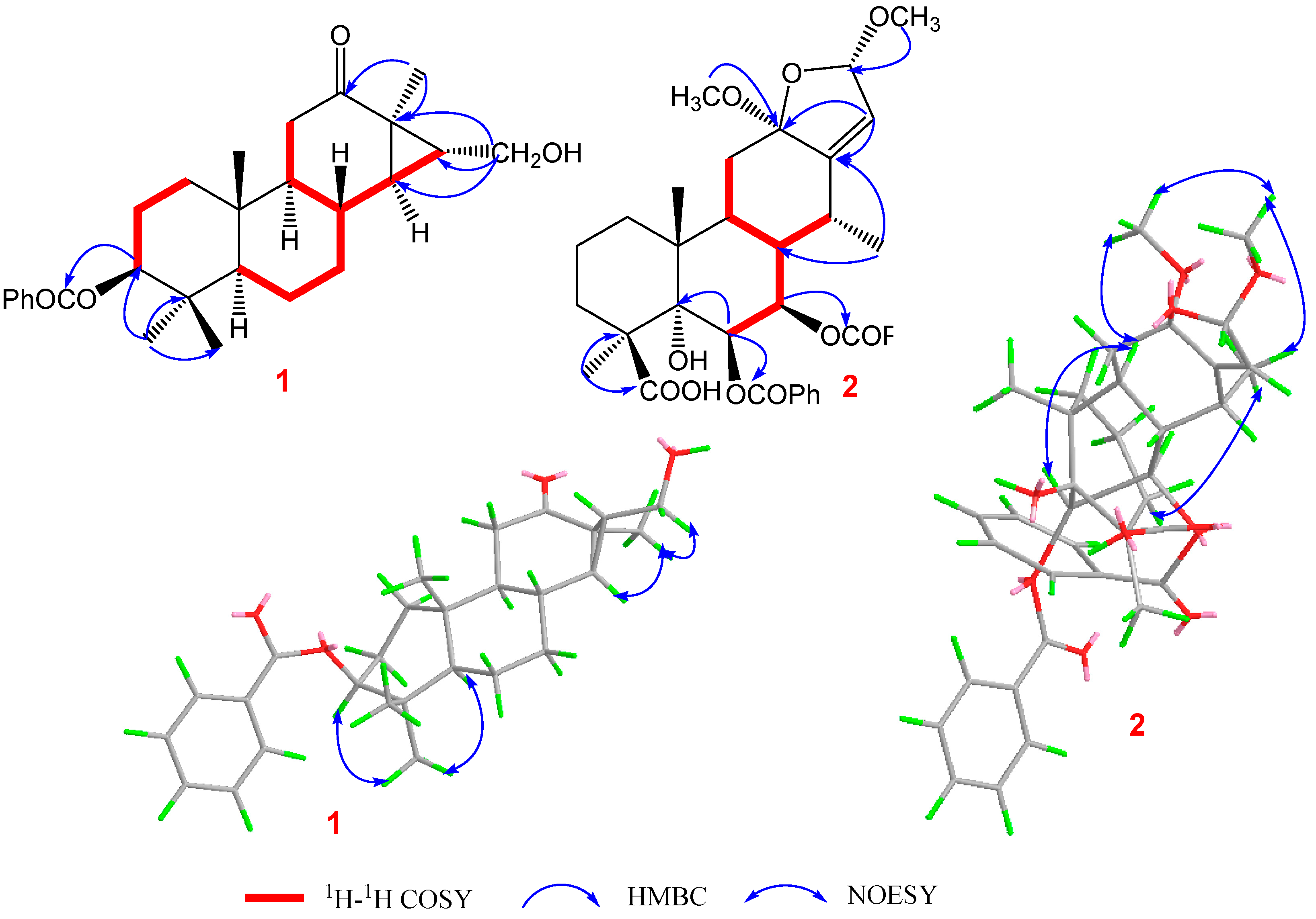 Ijms 24 04917 g001 Ijms 24 04917 g001