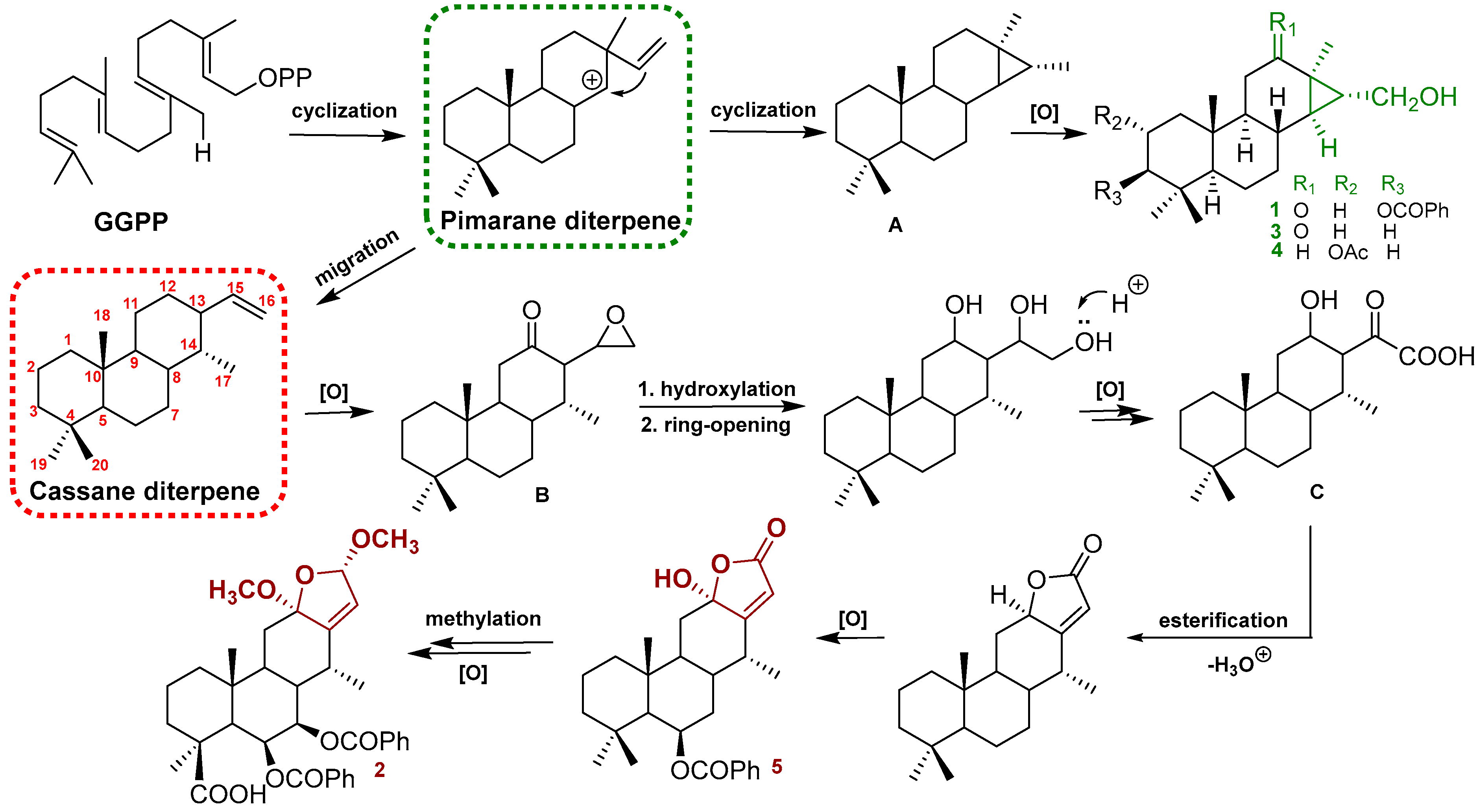 Ijms 24 04917 g004 Ijms 24 04917 g004
