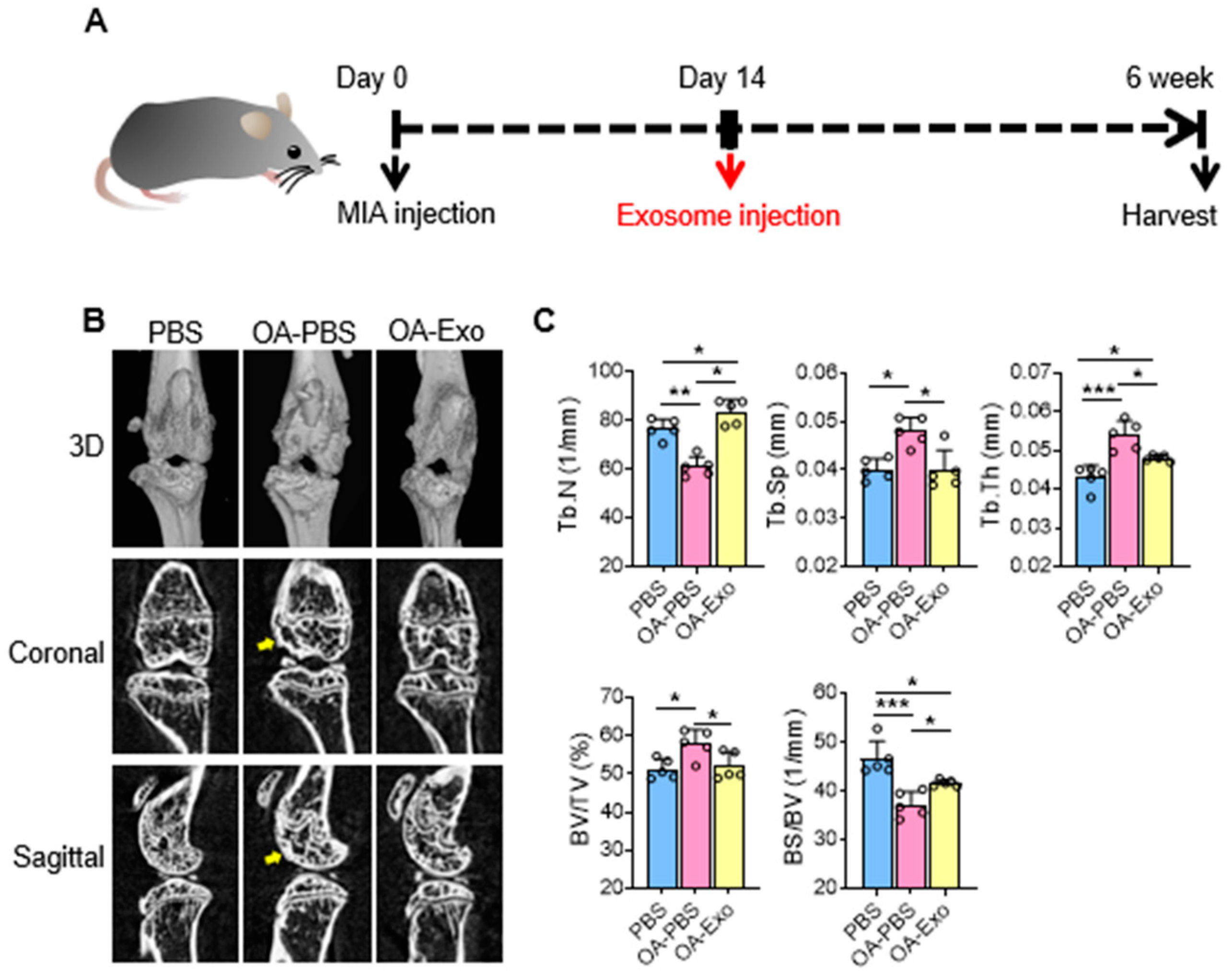 Ijms 24 04926 g002 Ijms 24 04926 g002
