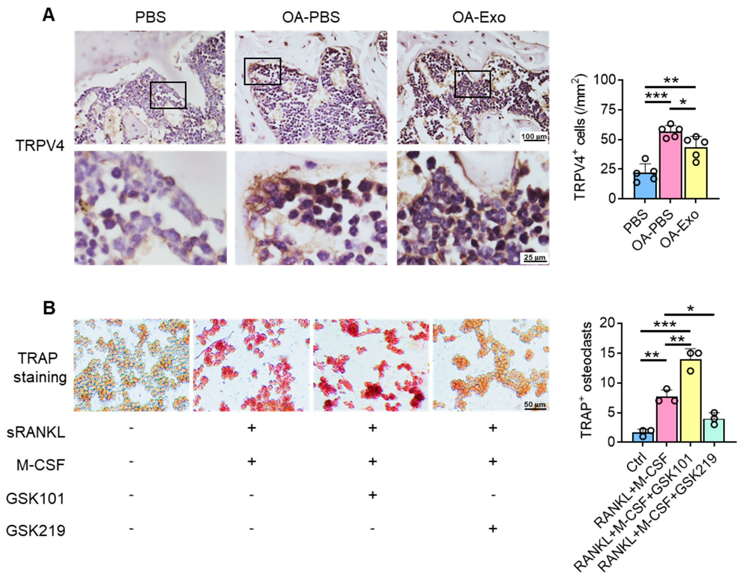 Ijms 24 04926 g005 Ijms 24 04926 g005