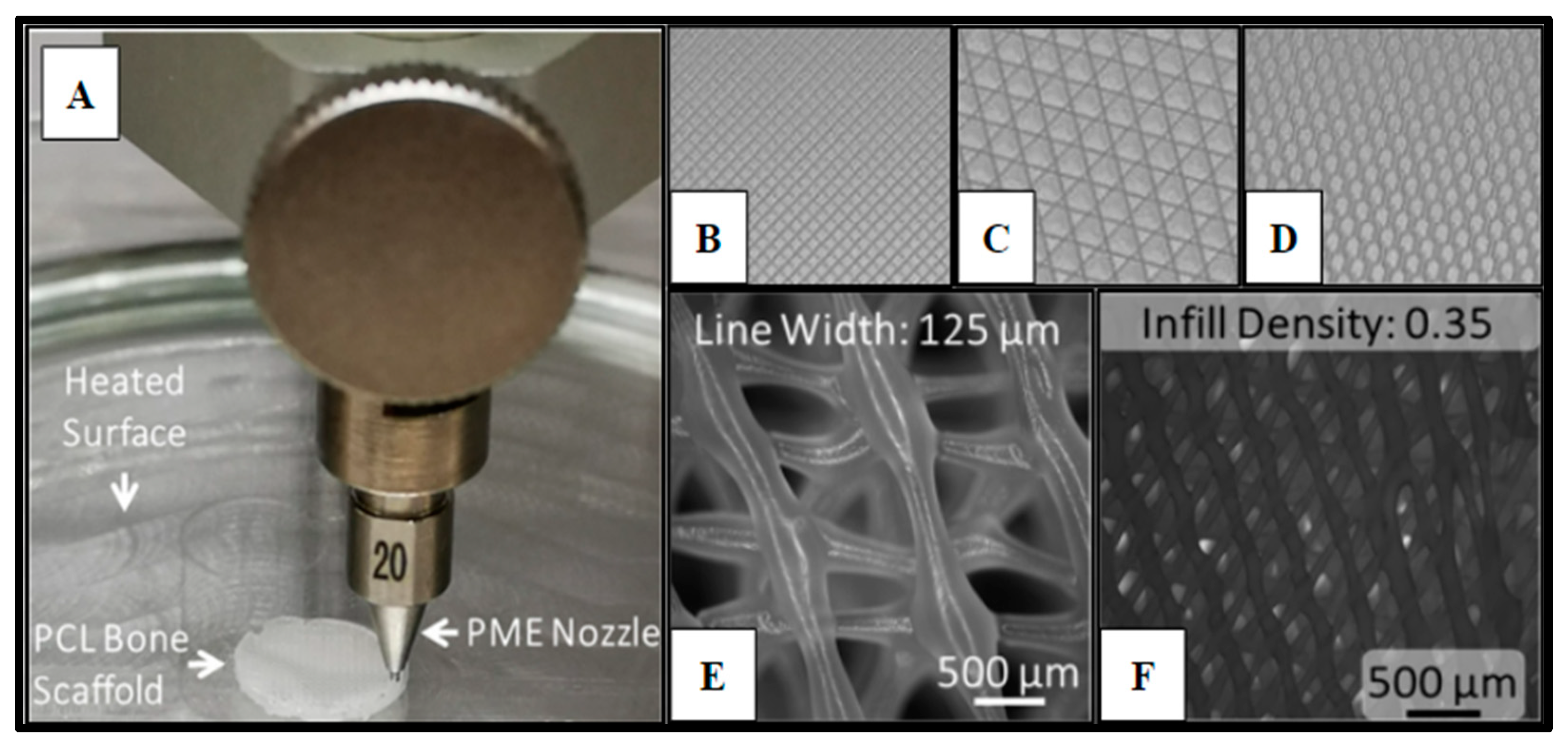 Ijms Free Full Text Osteoregenerative Potential Of 3d Printed Poly ε Caprolactone Tissue 8720