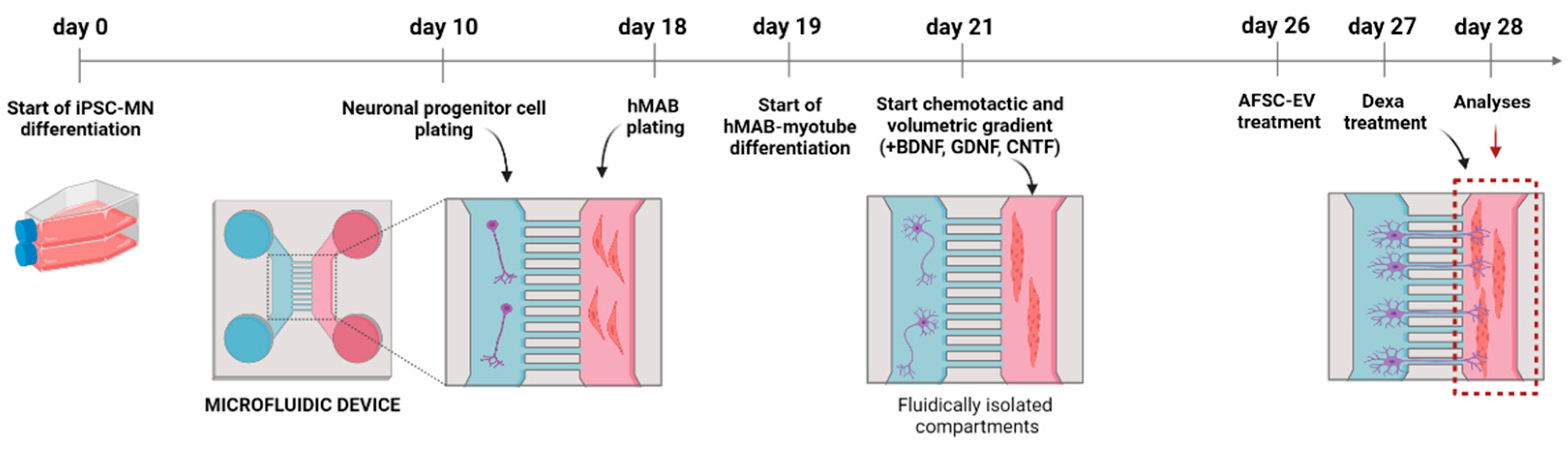 Ijms 24 04944 g002 Ijms 24 04944 g002