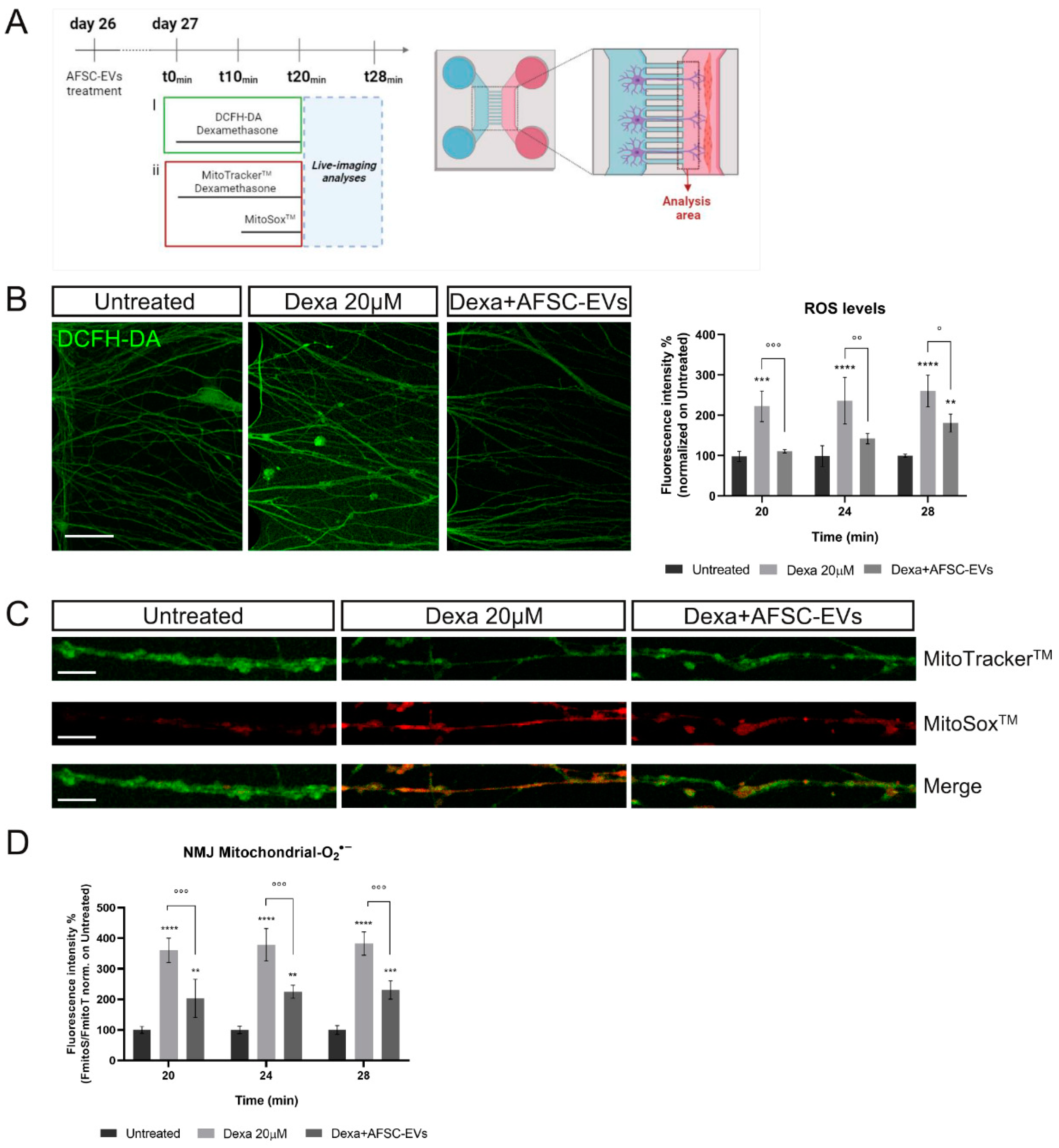 Ijms 24 04944 g006 Ijms 24 04944 g006