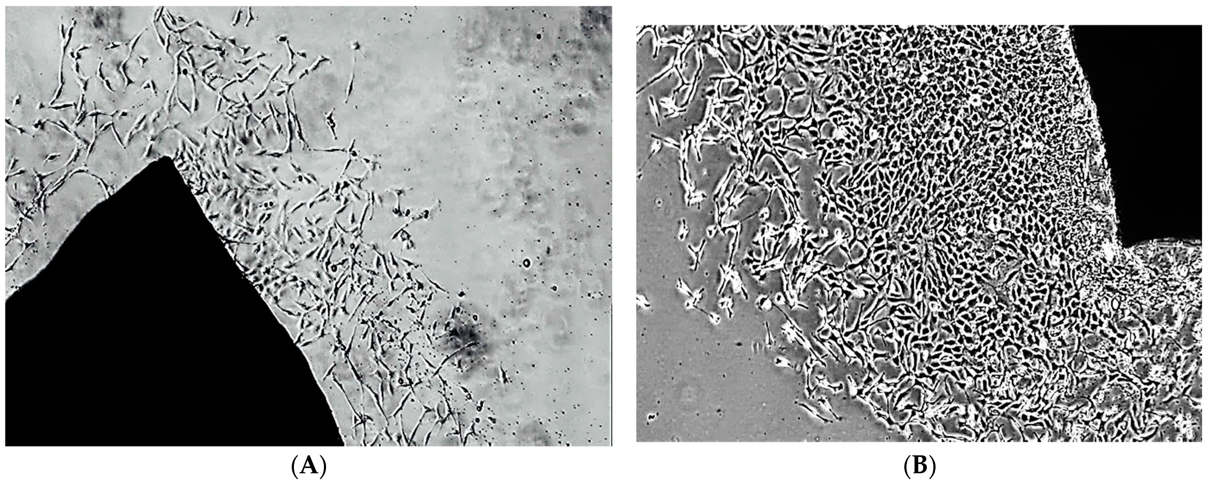 Ijms 24 04946 g0a1 Ijms 24 04946 g0a1